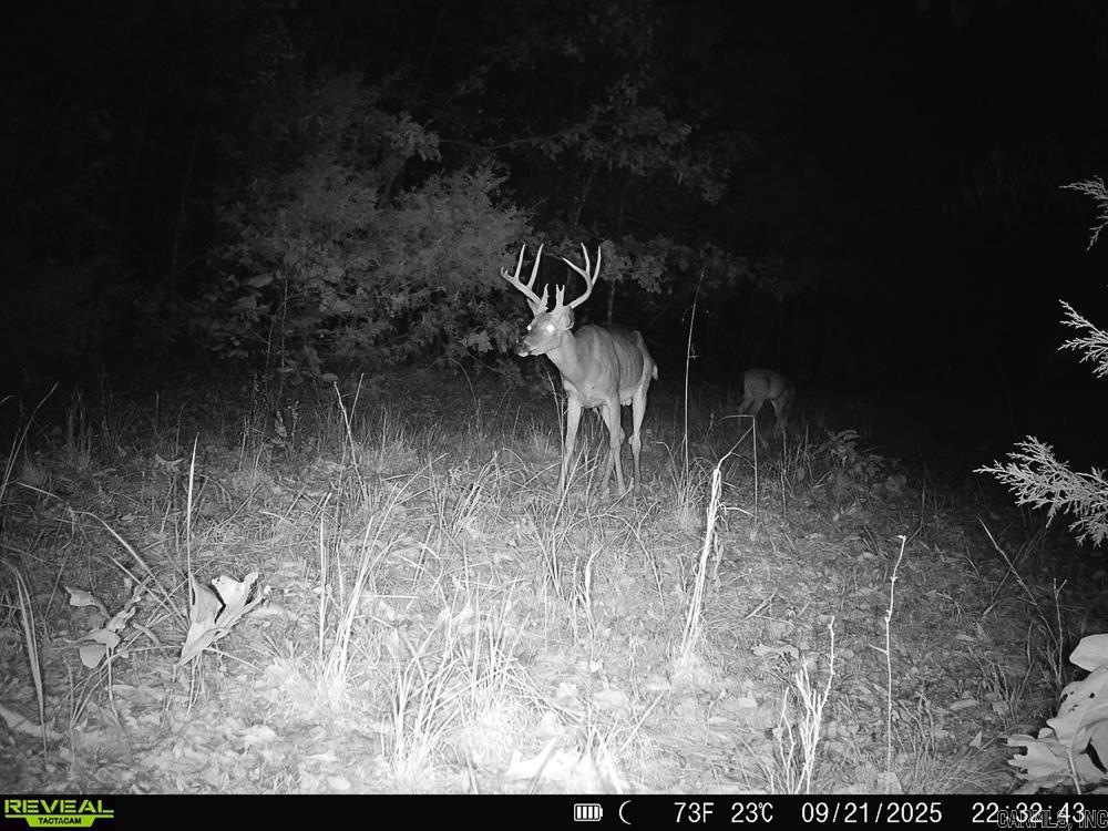 Photo 2 - Vacant Land for sale – 129589  N Highway 63   Hardy, AR