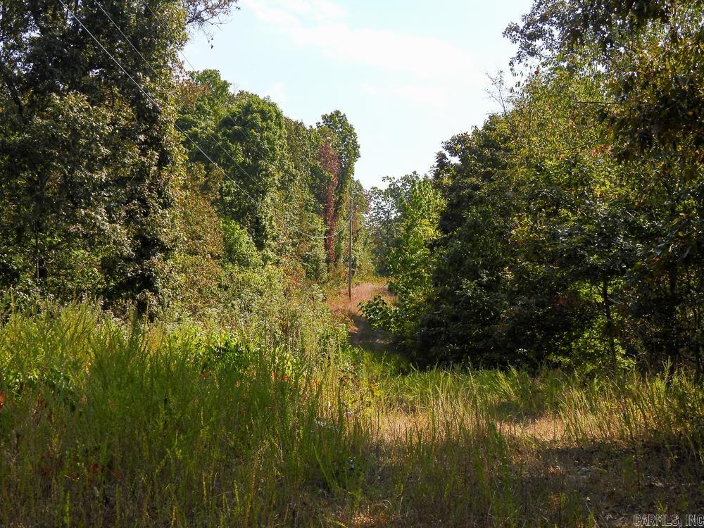Photo 12 - Vacant Land for sale – 129589  N Highway 63   Hardy, AR