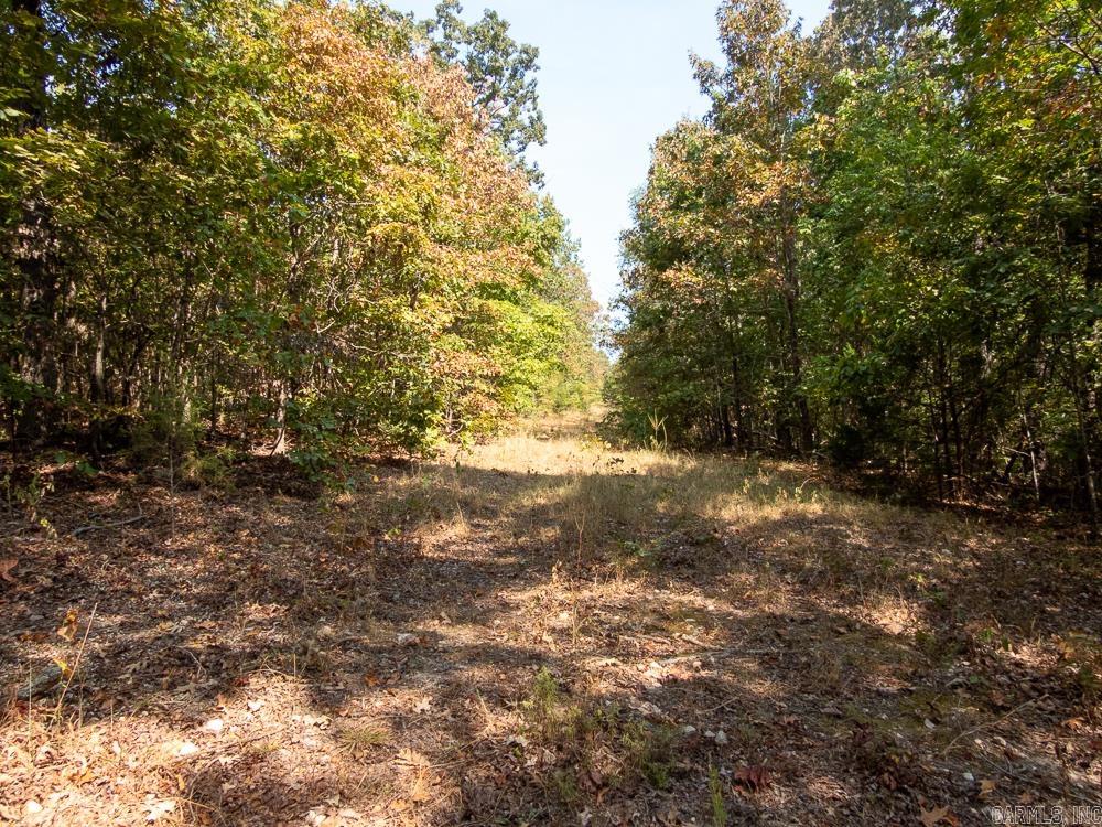 Photo 22 - Vacant Land for sale – 129589  N Highway 63   Hardy, AR
