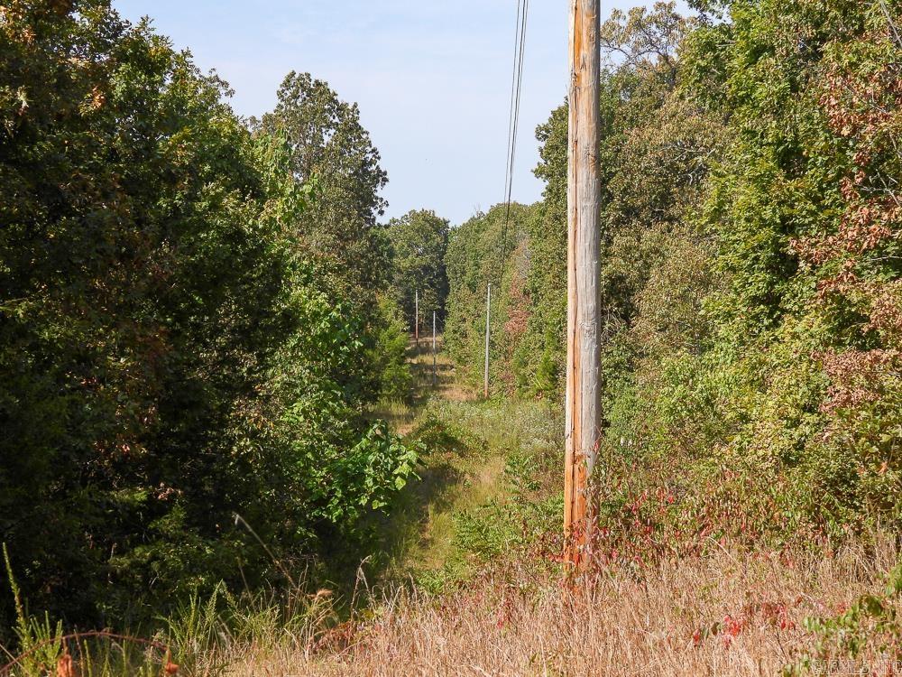 Photo 23 - Vacant Land for sale – 129589  N Highway 63   Hardy, AR