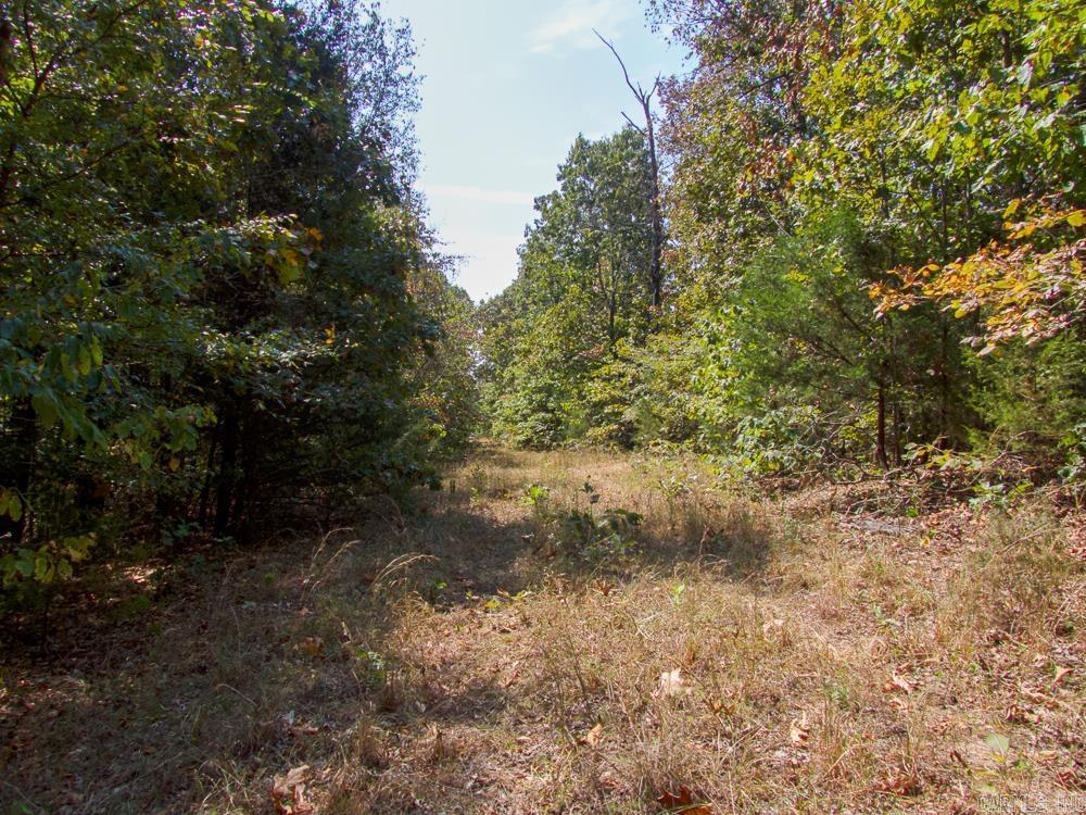 Photo 25 - Vacant Land for sale – 129589  N Highway 63   Hardy, AR
