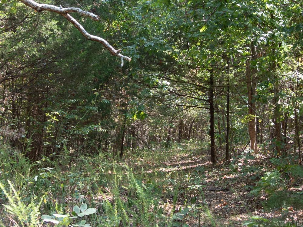 Photo 26 - Vacant Land for sale – 129589  N Highway 63   Hardy, AR