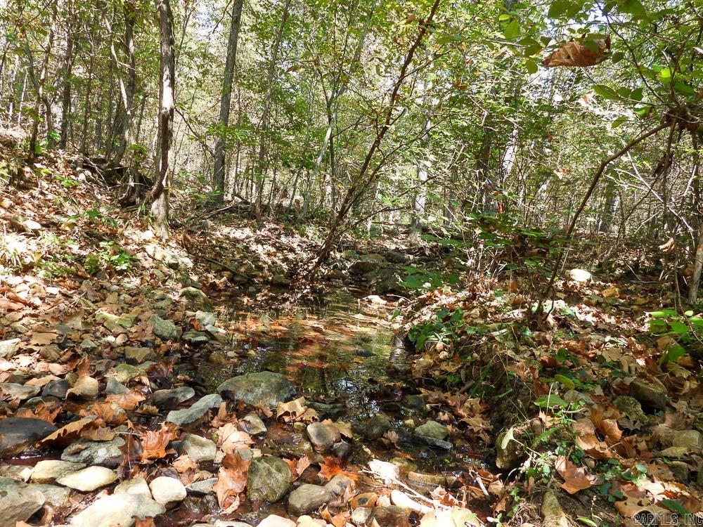 Photo 27 - Vacant Land for sale – 129589  N Highway 63   Hardy, AR