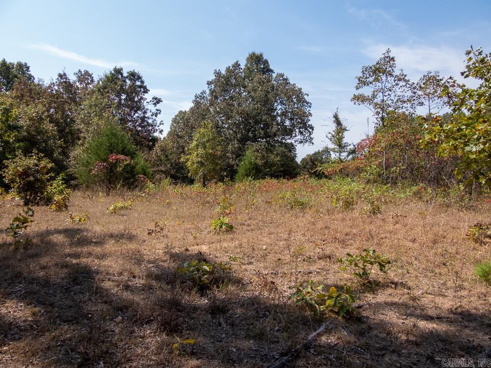Photo 29 - Vacant Land for sale – 129589  N Highway 63   Hardy, AR