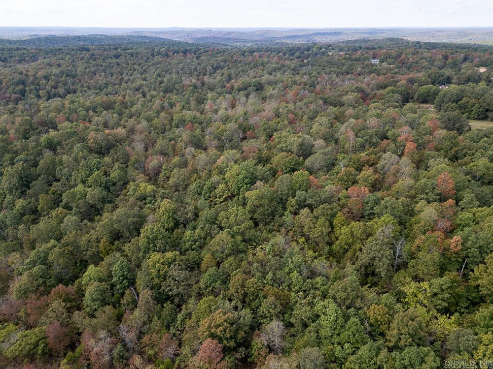 Photo 4 - Vacant Land for sale – 129589  N Highway 63   Hardy, AR