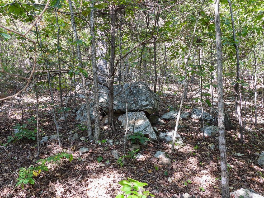 Photo 34 - Vacant Land for sale – 129589  N Highway 63   Hardy, AR
