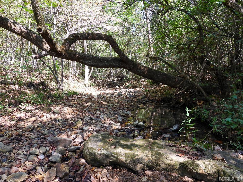 Photo 37 - Vacant Land for sale – 129589  N Highway 63   Hardy, AR