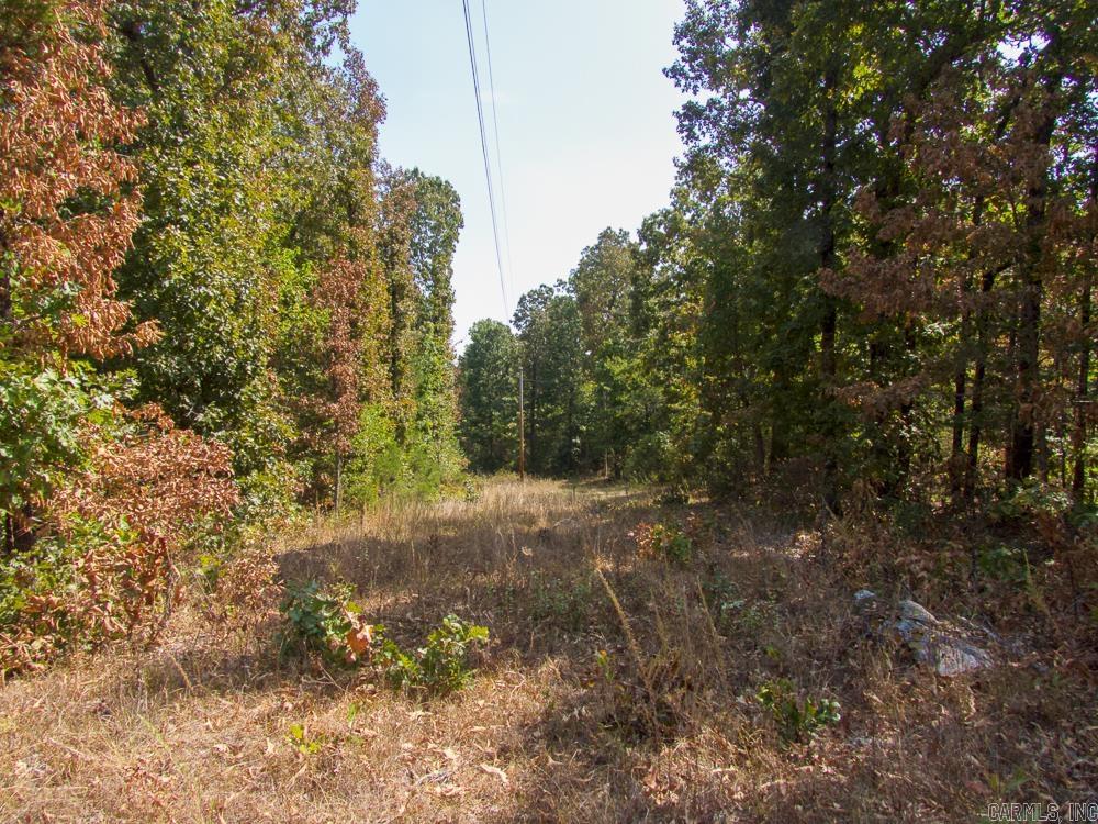 Photo 39 - Vacant Land for sale – 129589  N Highway 63   Hardy, AR