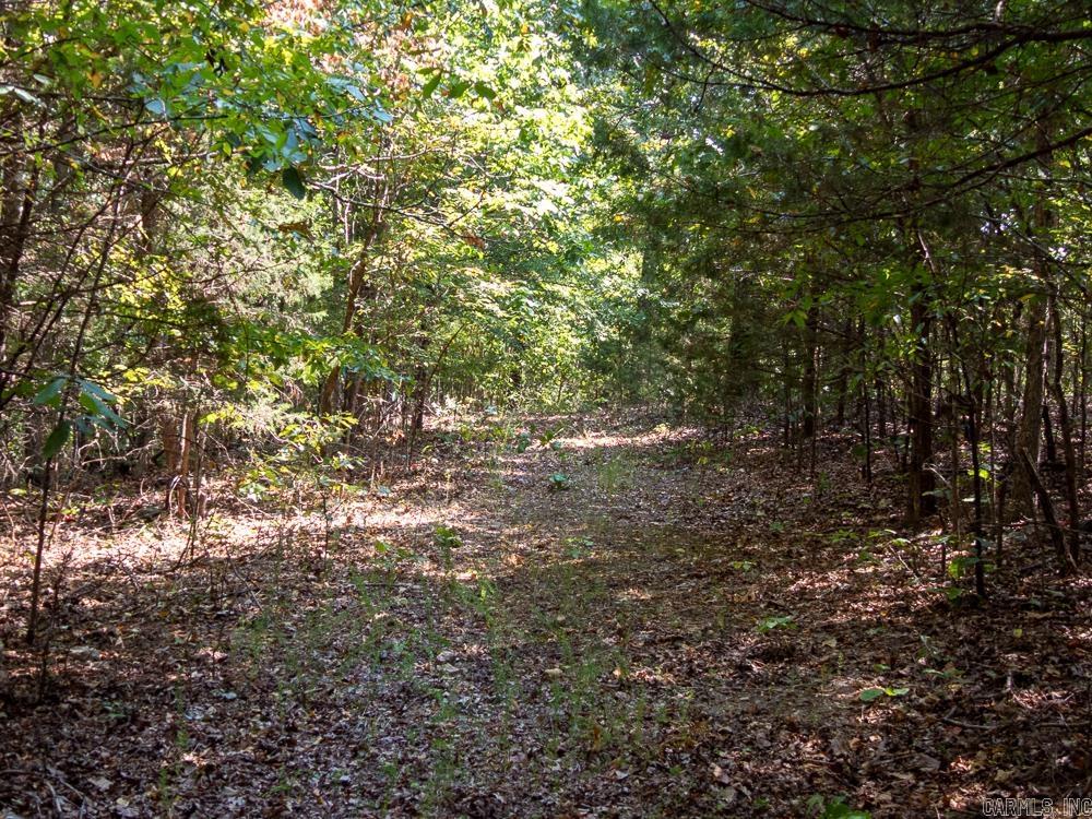 Photo 41 - Vacant Land for sale – 129589  N Highway 63   Hardy, AR
