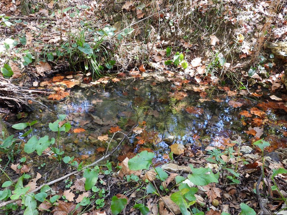 Photo 44 - Vacant Land for sale – 129589  N Highway 63   Hardy, AR
