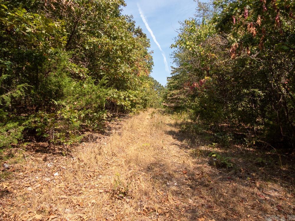 Photo 45 - Vacant Land for sale – 129589  N Highway 63   Hardy, AR