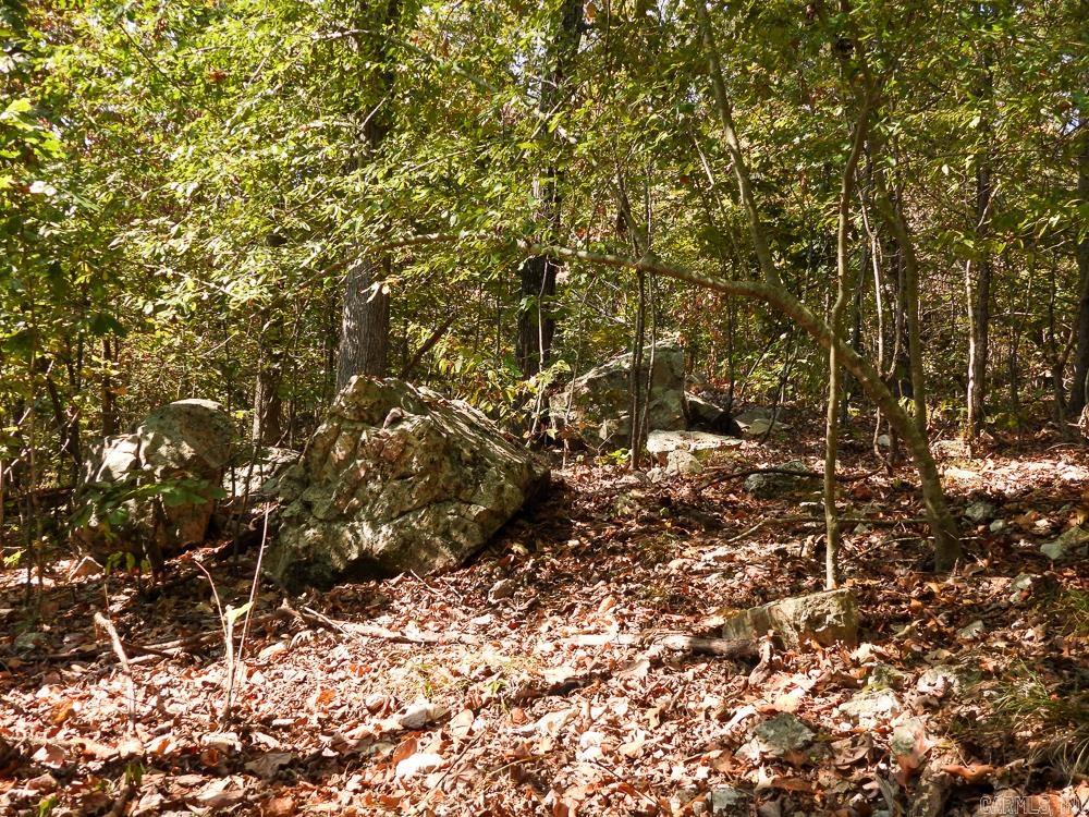 Photo 46 - Vacant Land for sale – 129589  N Highway 63   Hardy, AR