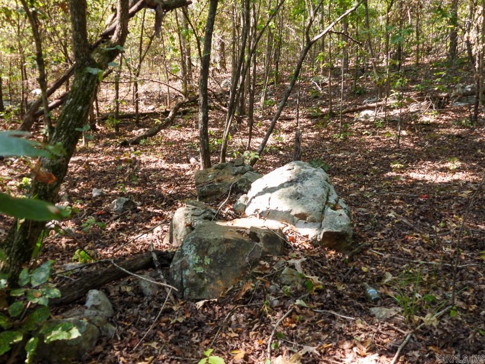 Photo 47 - Vacant Land for sale – 129589  N Highway 63   Hardy, AR