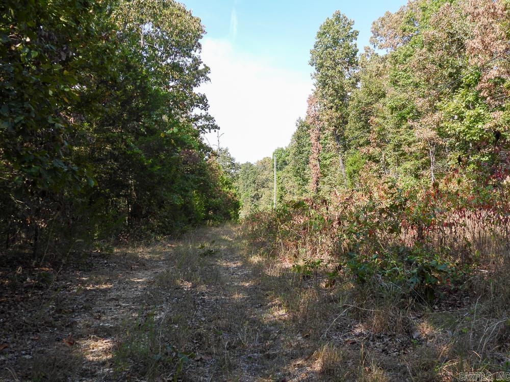 Photo 48 - Vacant Land for sale – 129589  N Highway 63   Hardy, AR