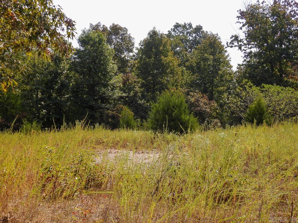 Photo 7 - Vacant Land for sale – 129589  N Highway 63   Hardy, AR