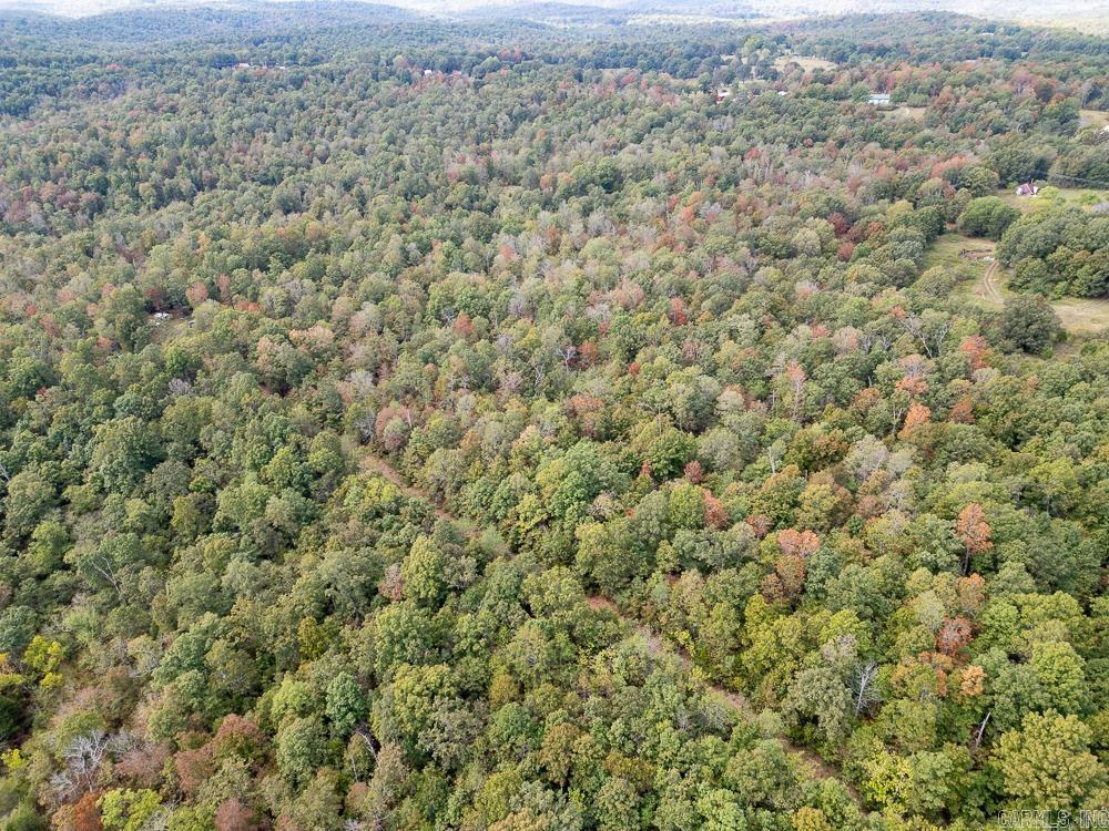 Photo 8 - Vacant Land for sale – 129589  N Highway 63   Hardy, AR