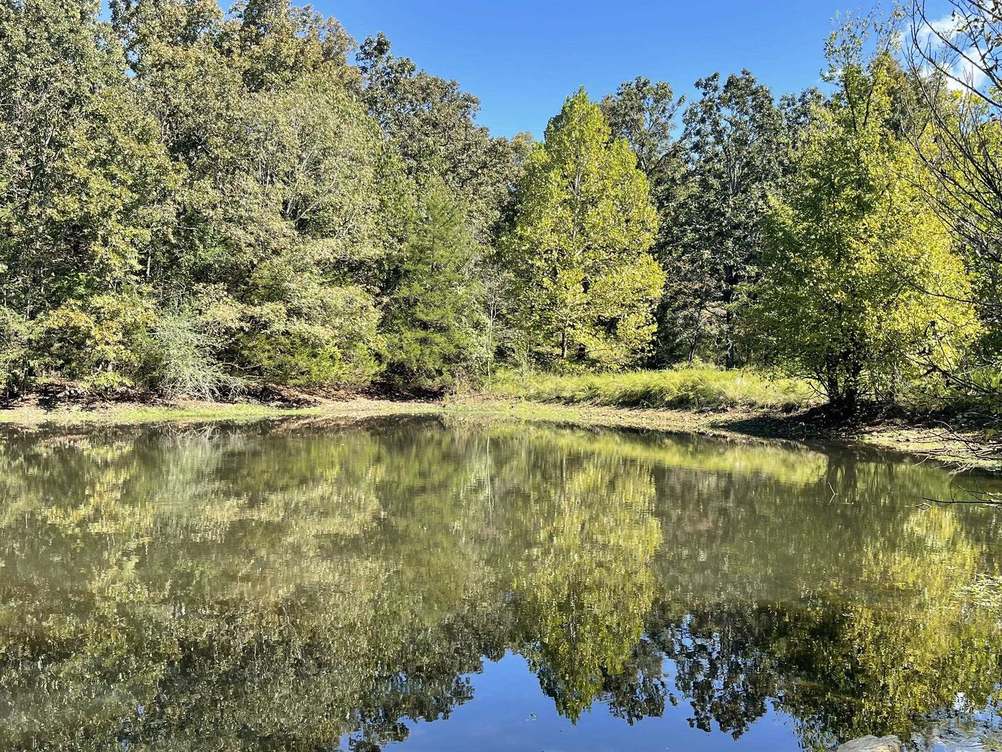 Photo 2 - Residential for sale – 690 N Copperhead   Franklin, AR