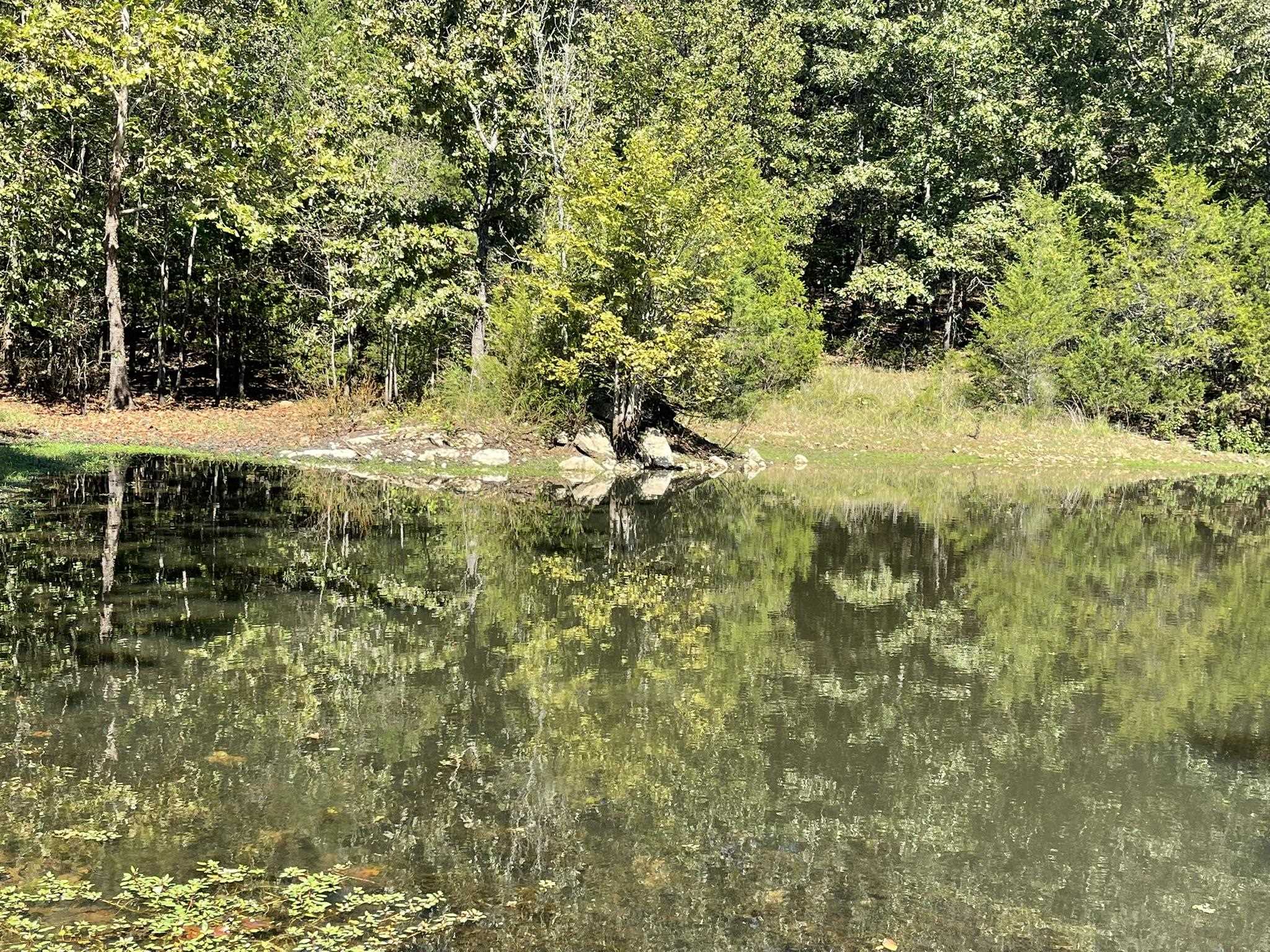 Photo 12 - Residential for sale – 690 N Copperhead   Franklin, AR