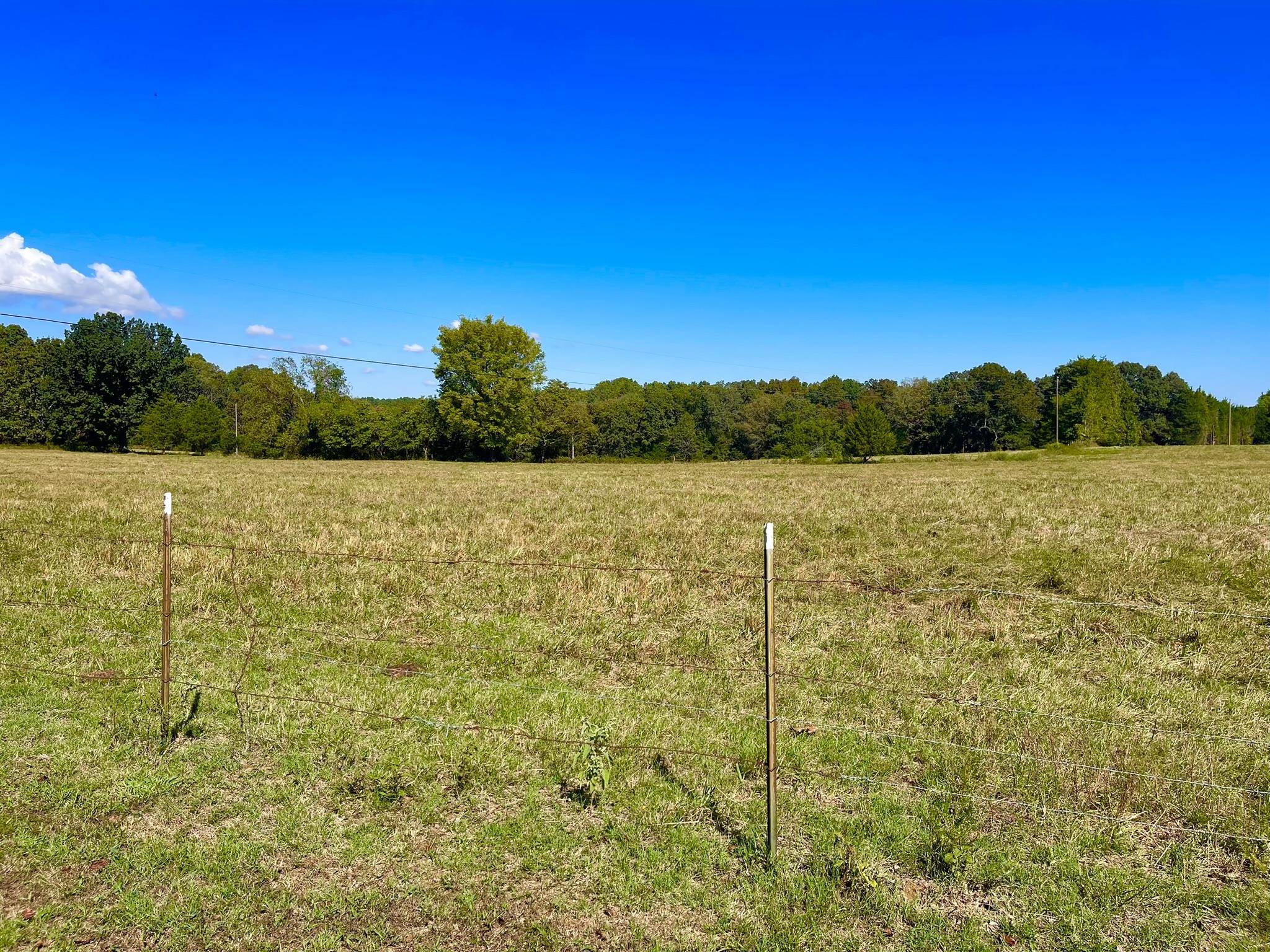 Photo 4 - Residential for sale – 690 N Copperhead   Franklin, AR