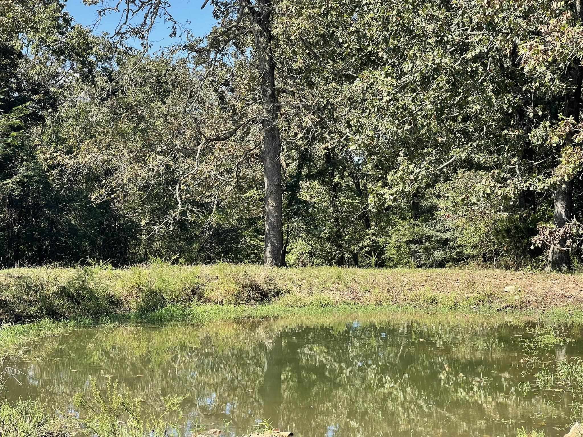 Photo 10 - Residential for sale – 690 N Copperhead   Franklin, AR