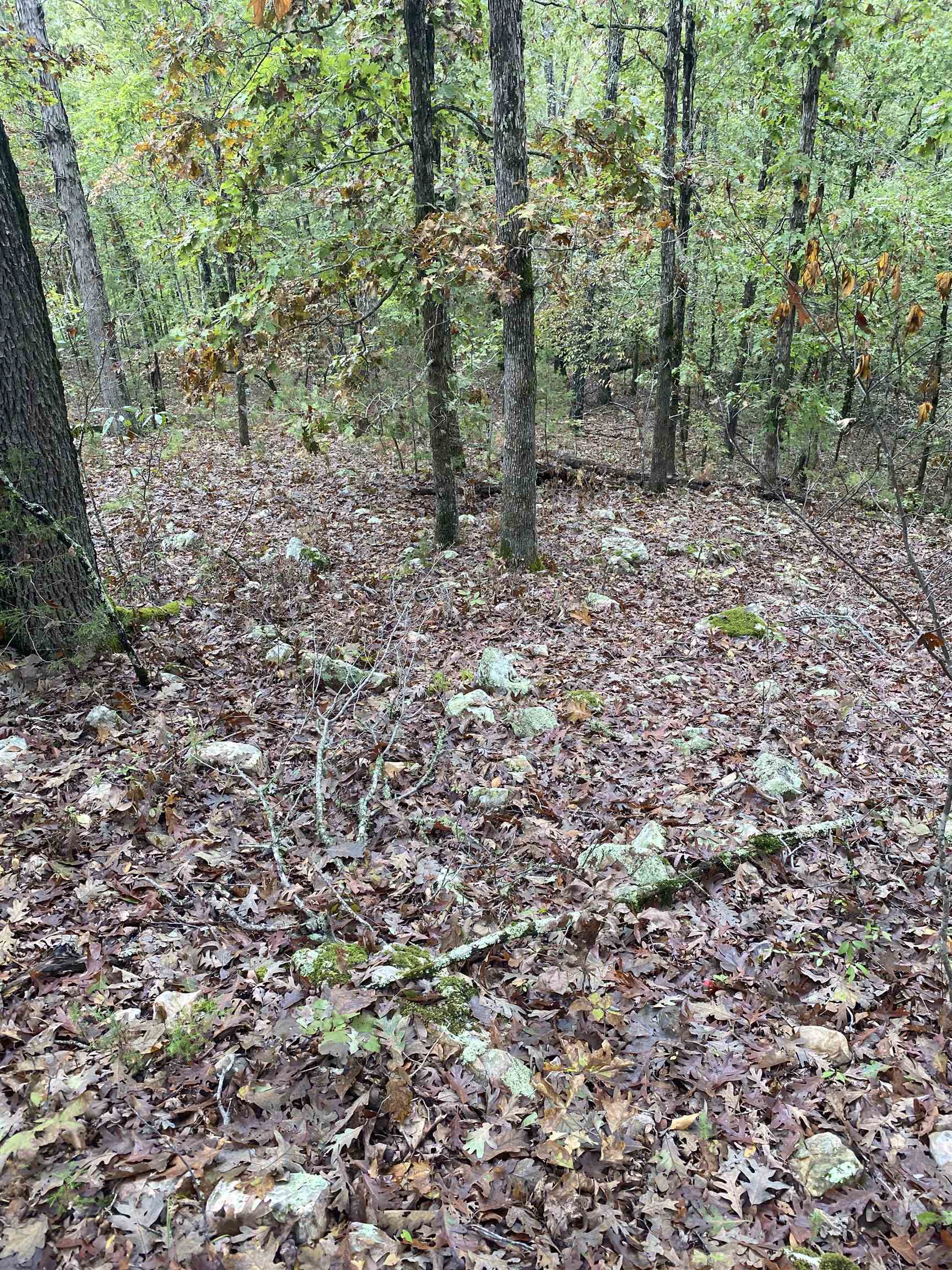 Photo 11 - Vacant Land for sale – 150  Lofton Road   Calico Rock, AR