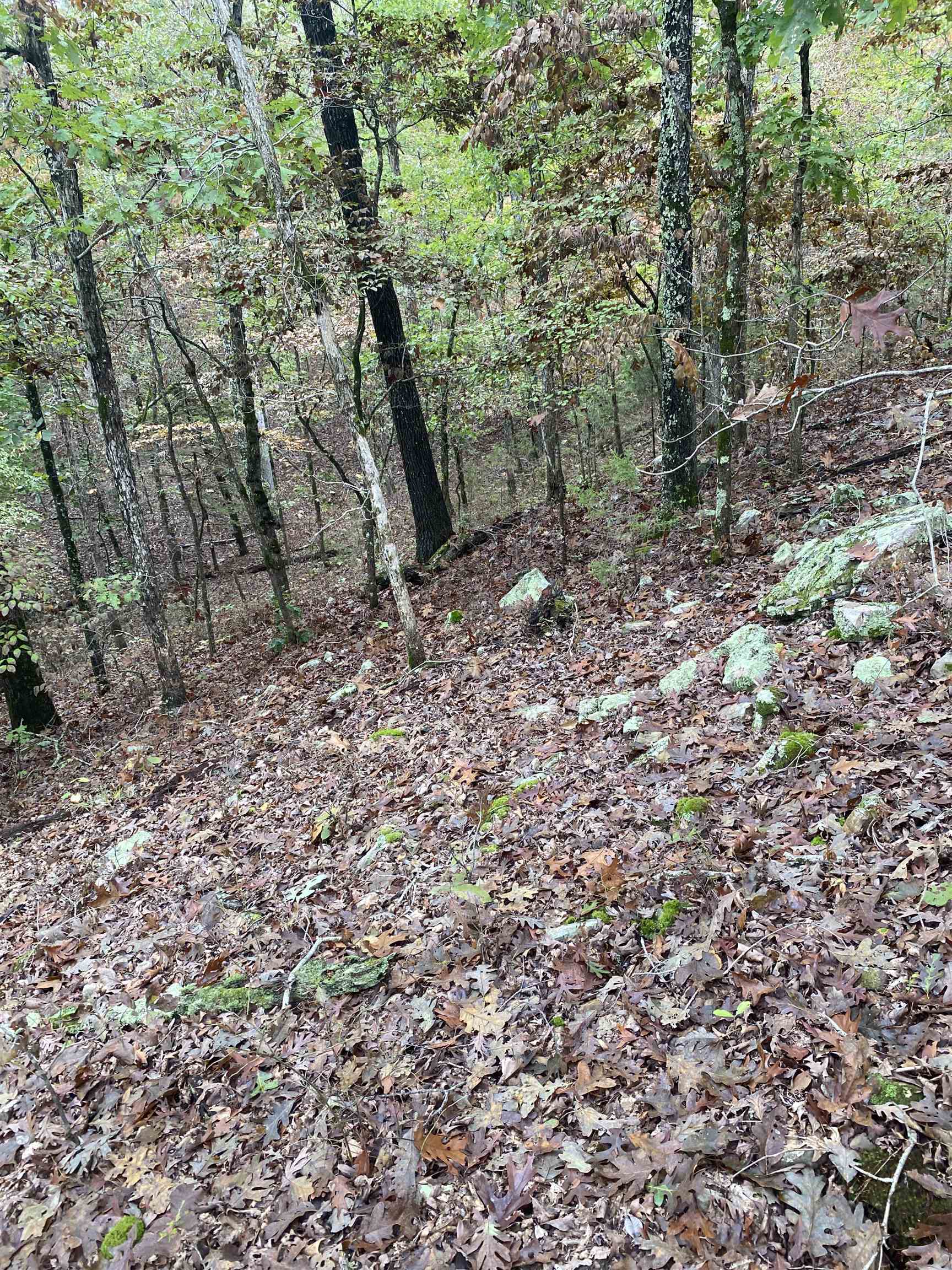 Photo 12 - Vacant Land for sale – 150  Lofton Road   Calico Rock, AR