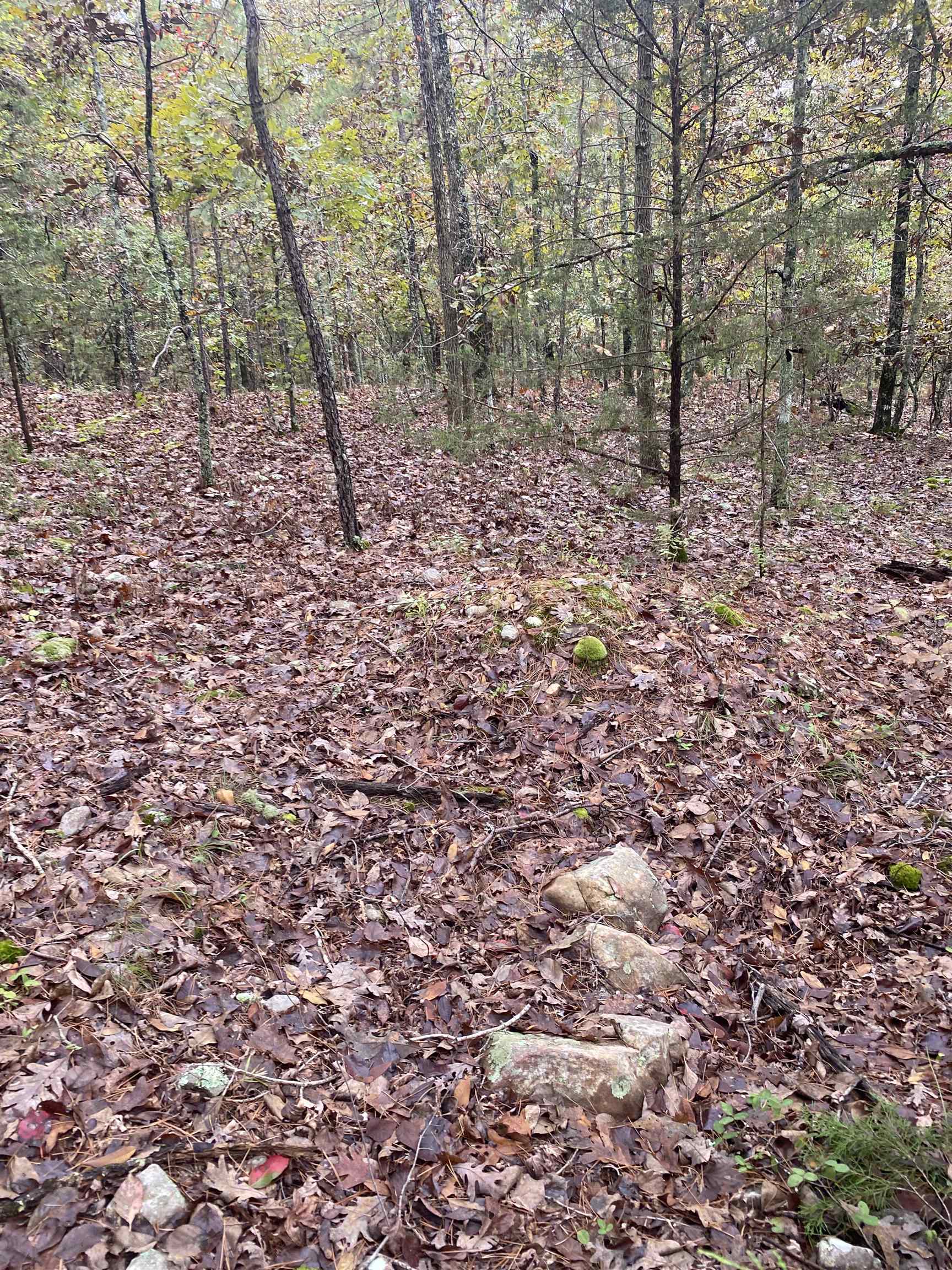 Photo 13 - Vacant Land for sale – 150  Lofton Road   Calico Rock, AR