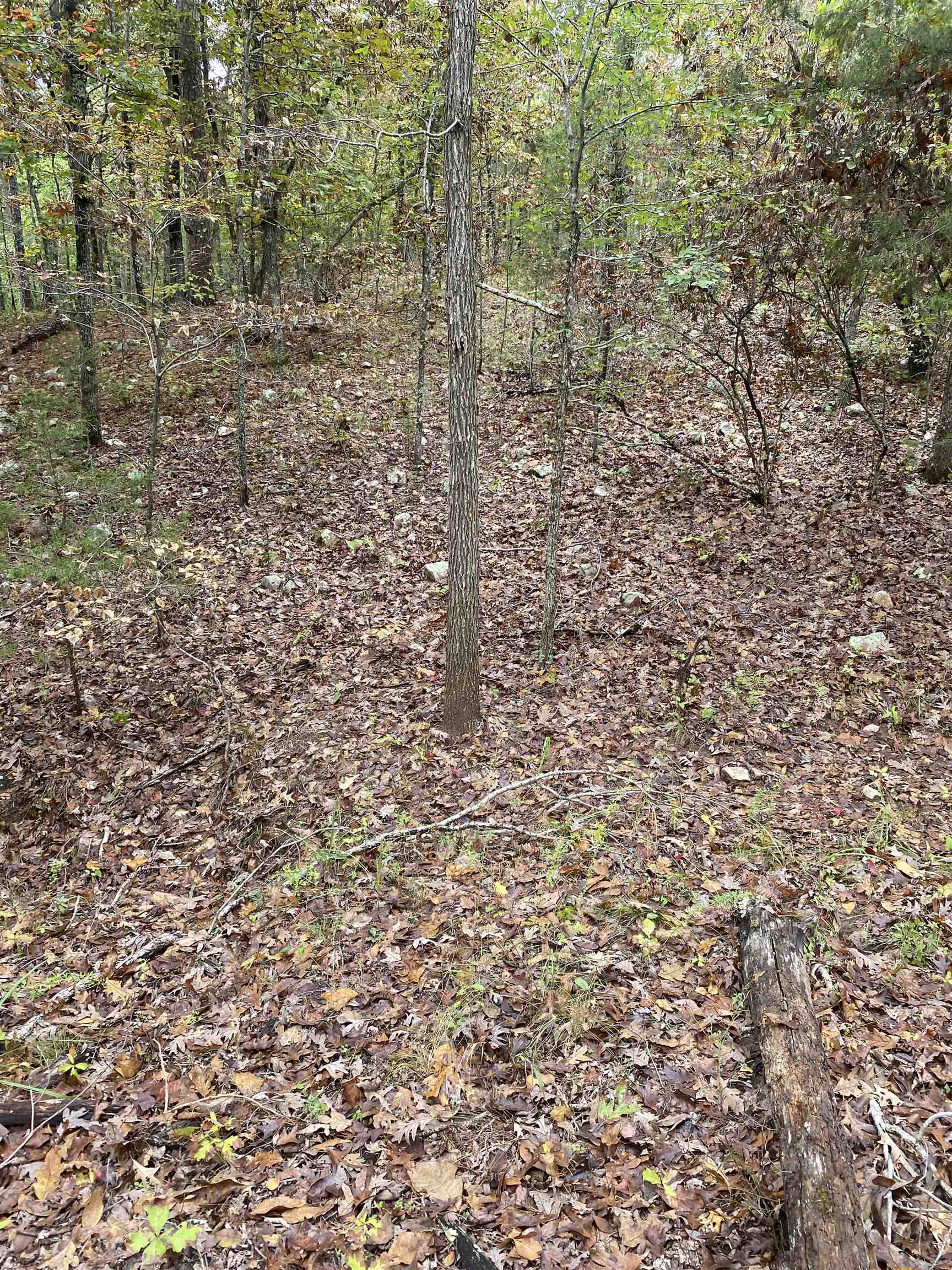 Photo 15 - Vacant Land for sale – 150  Lofton Road   Calico Rock, AR