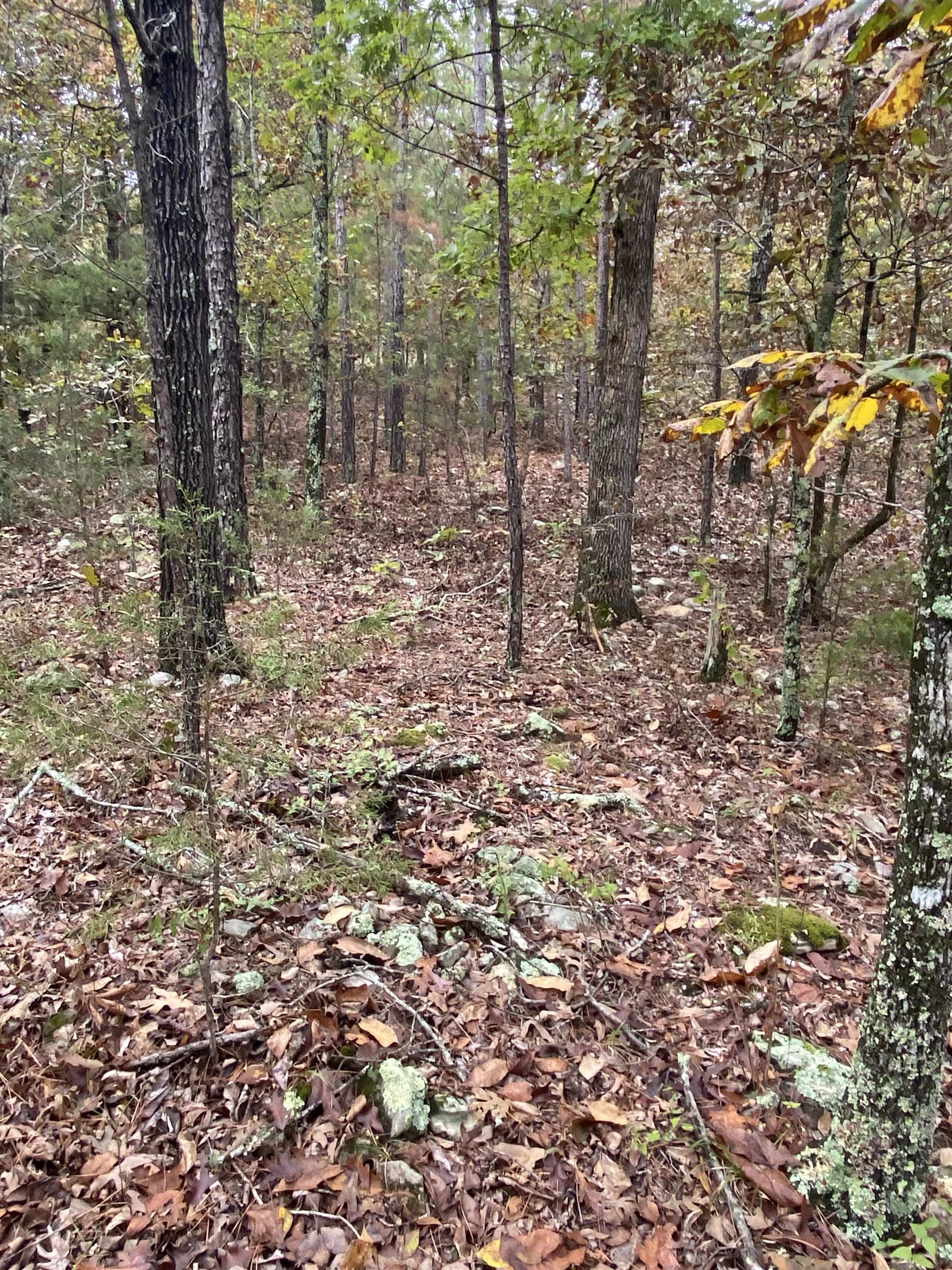 Photo 16 - Vacant Land for sale – 150  Lofton Road   Calico Rock, AR