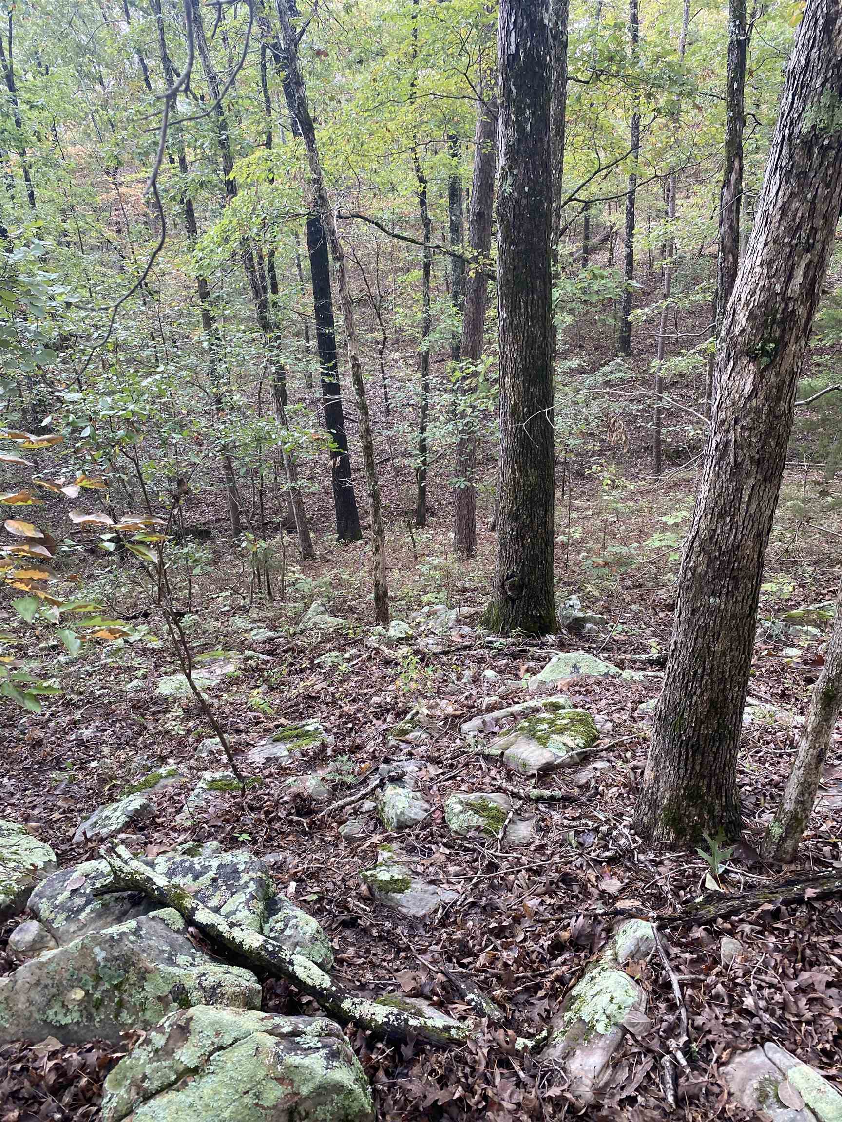 Photo 8 - Vacant Land for sale – 150  Lofton Road   Calico Rock, AR