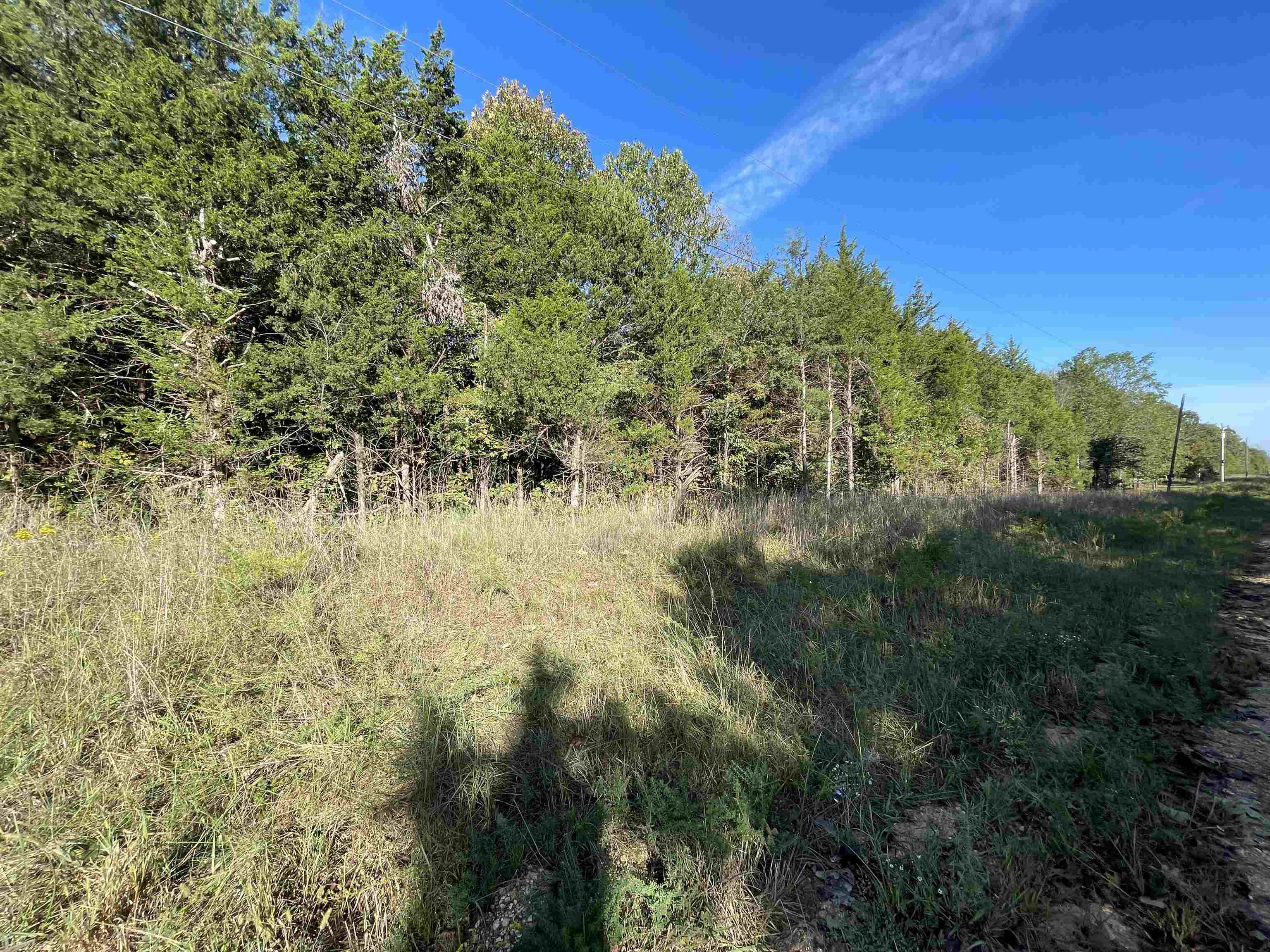 Photo 3 - Vacant Land for sale – 0  Quilt Palace   Glencoe, AR