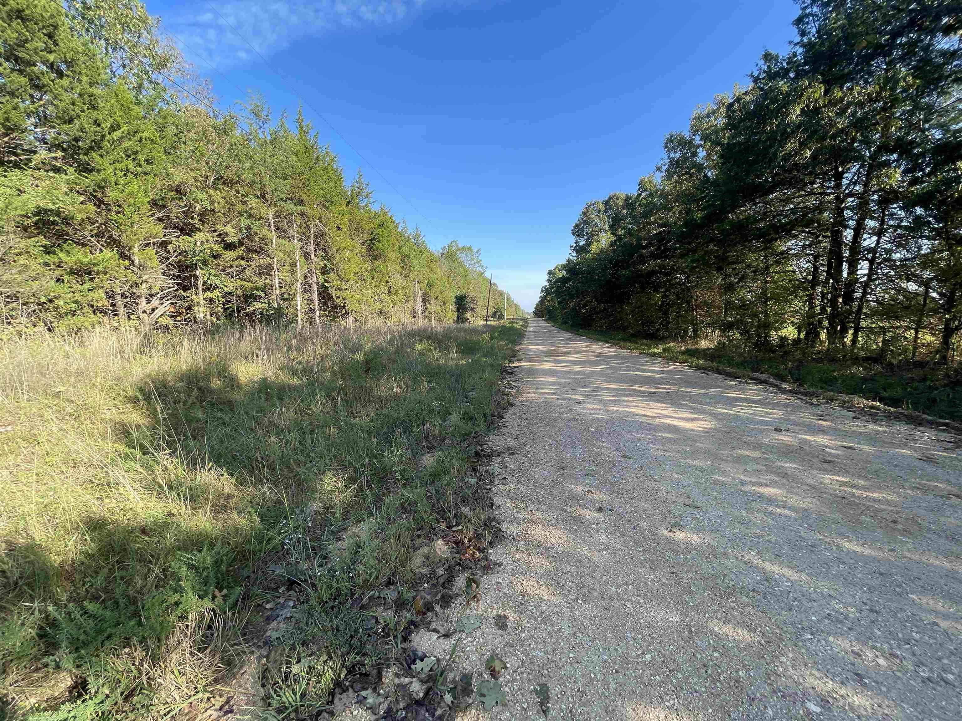 Photo 4 - Vacant Land for sale – 0  Quilt Palace   Glencoe, AR