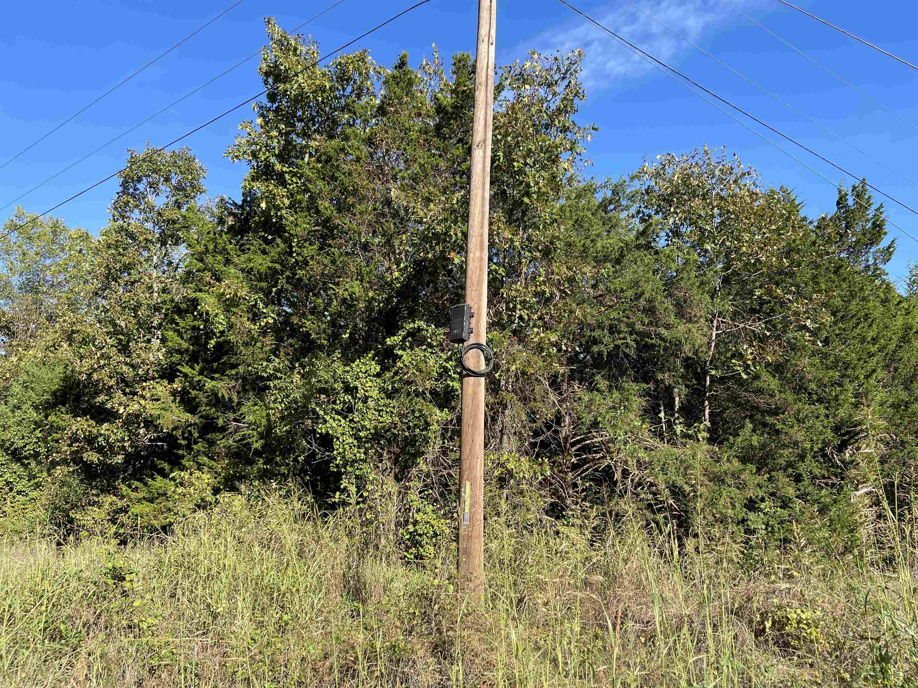 Photo 6 - Vacant Land for sale – 0  Quilt Palace   Glencoe, AR