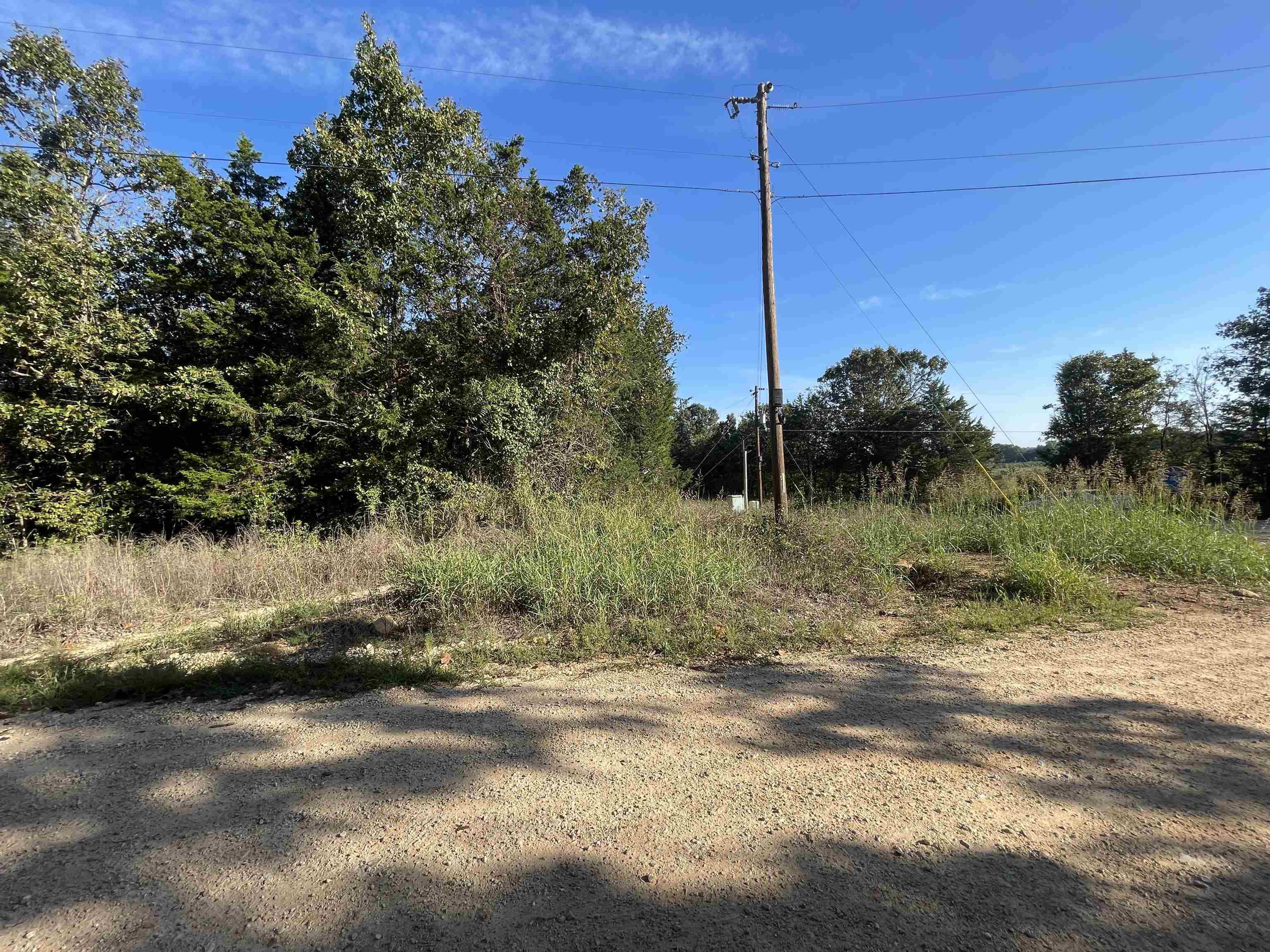 Photo 9 - Vacant Land for sale – 0  Quilt Palace   Glencoe, AR