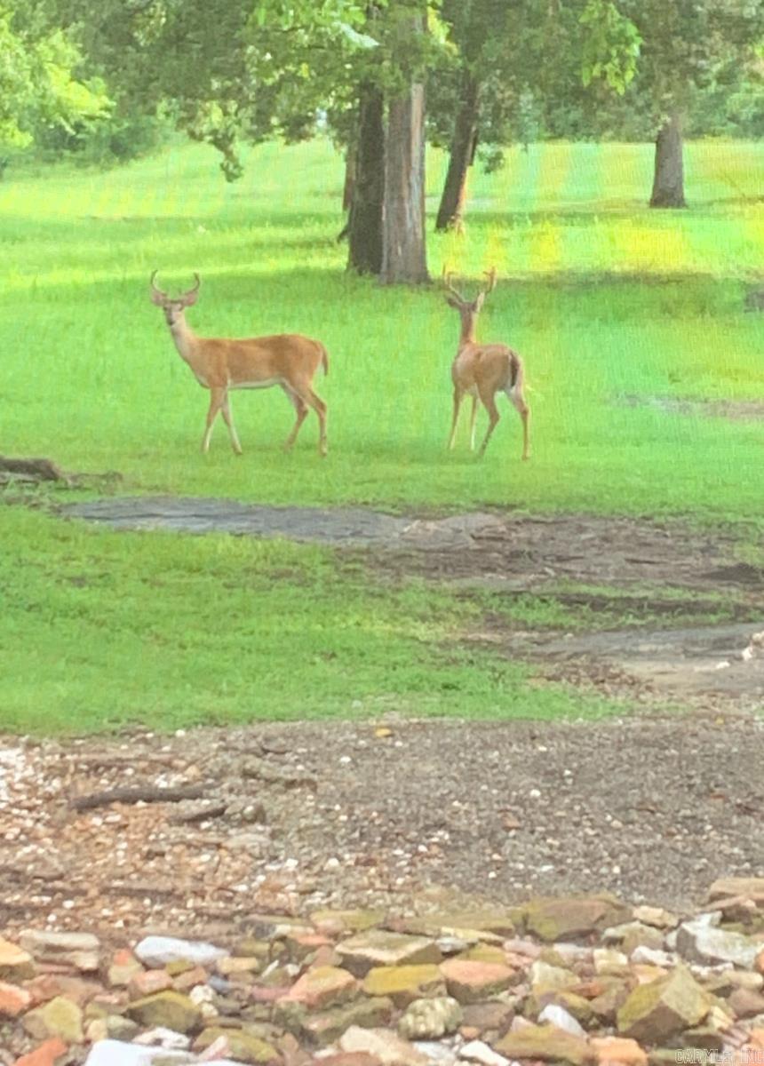 Photo 4 - Residential for sale – 17735 S AR 9   Melbourne, AR