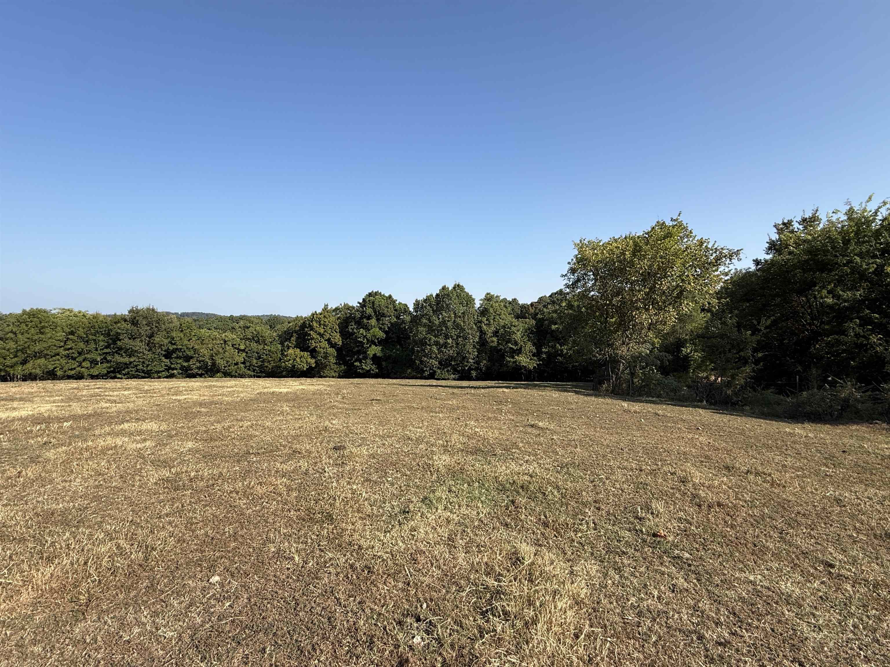 Photo 19 - Vacant Land for sale – 180A  Lafferty Road   Mount Pleasant, AR