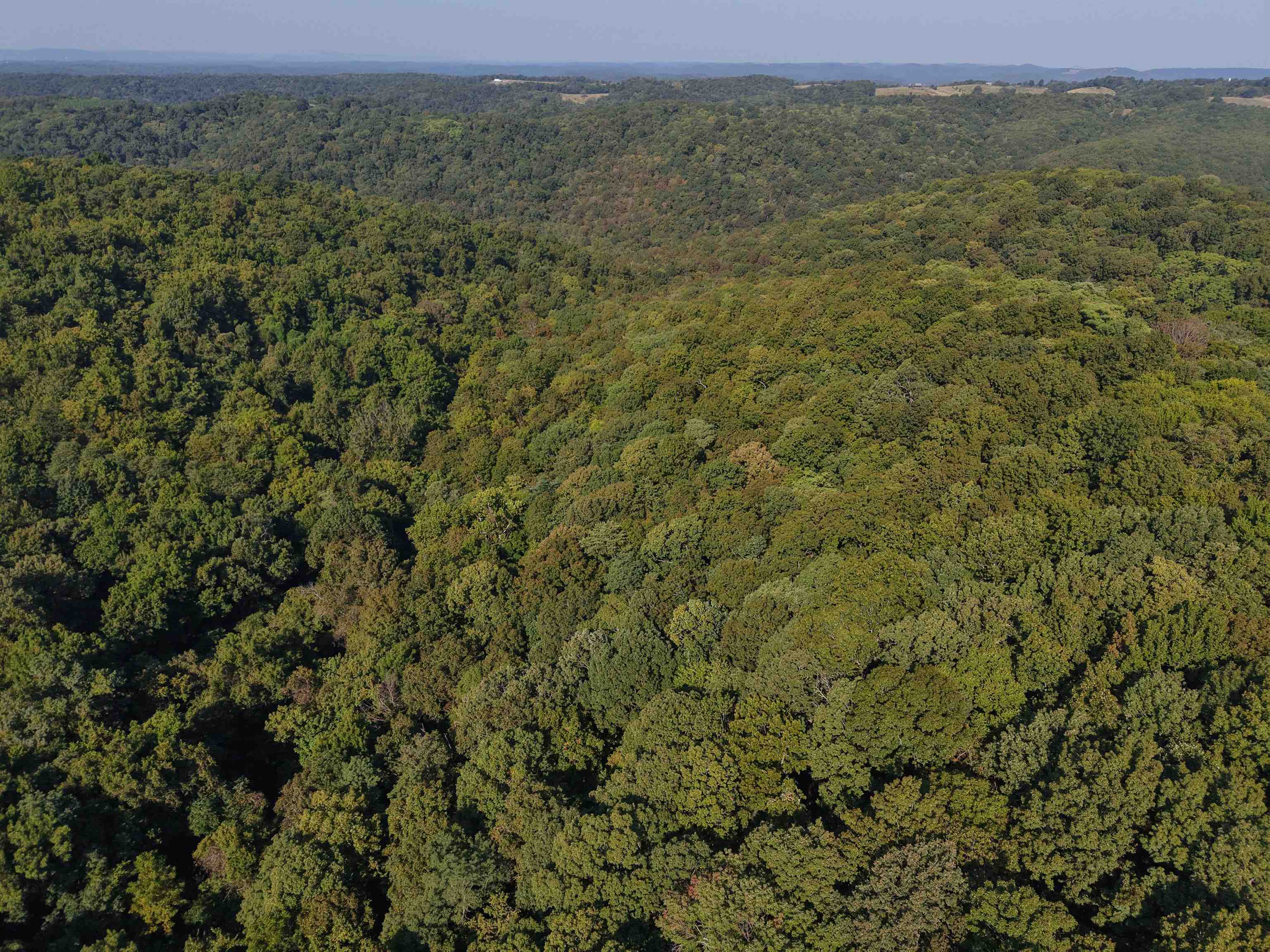 Photo 3 - Vacant Land for sale – 180A  Lafferty Road   Mount Pleasant, AR