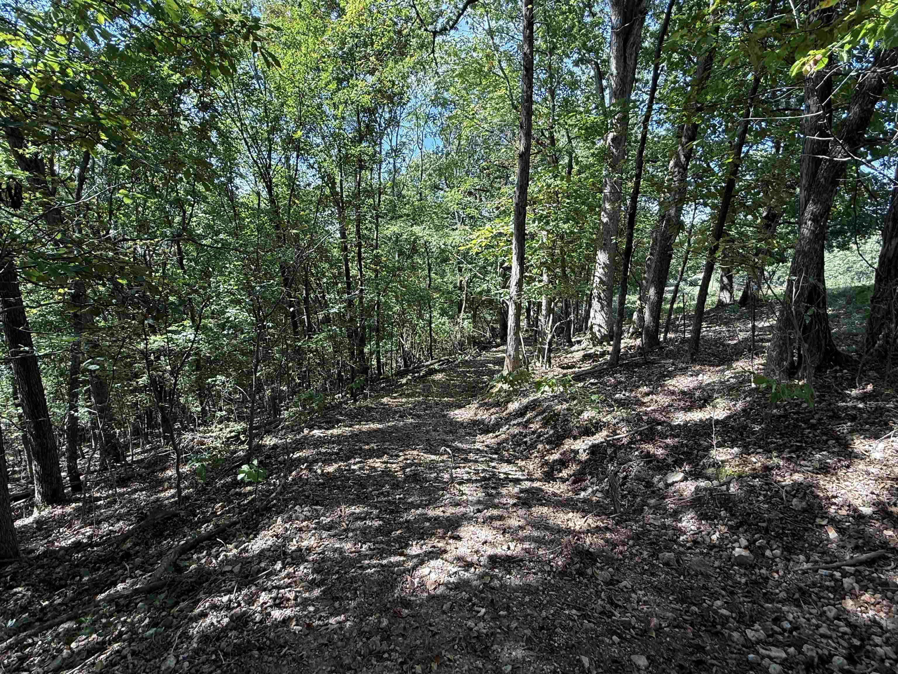 Photo 21 - Vacant Land for sale – 180A  Lafferty Road   Mount Pleasant, AR