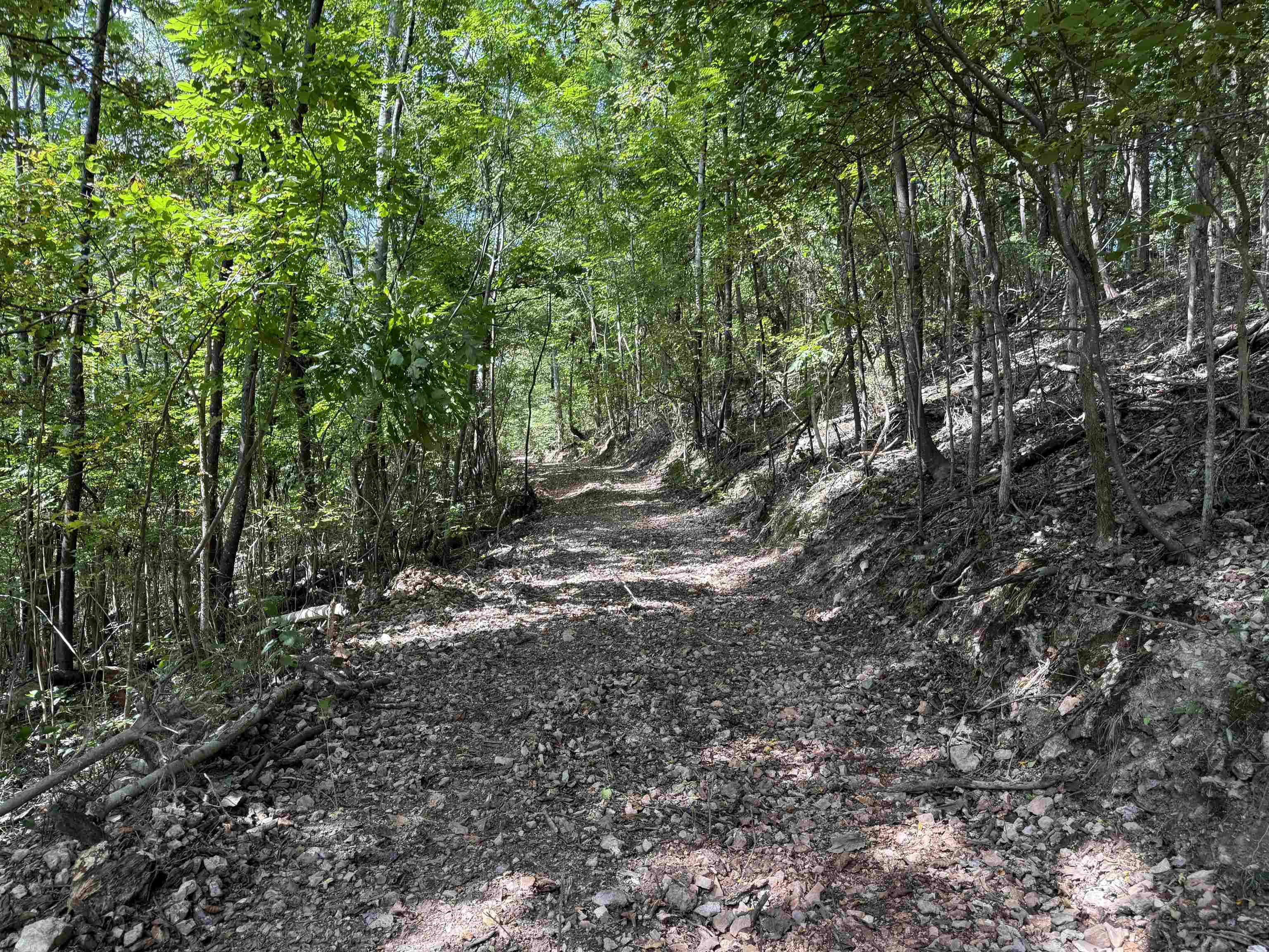 Photo 22 - Vacant Land for sale – 180A  Lafferty Road   Mount Pleasant, AR