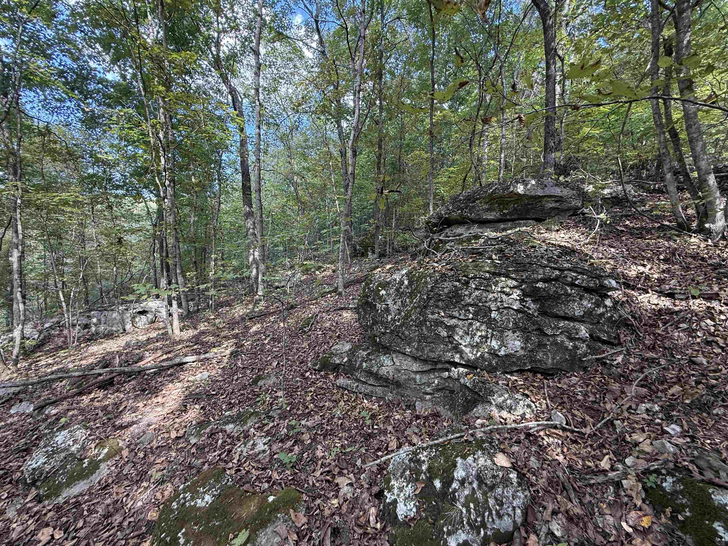 Photo 23 - Vacant Land for sale – 180A  Lafferty Road   Mount Pleasant, AR