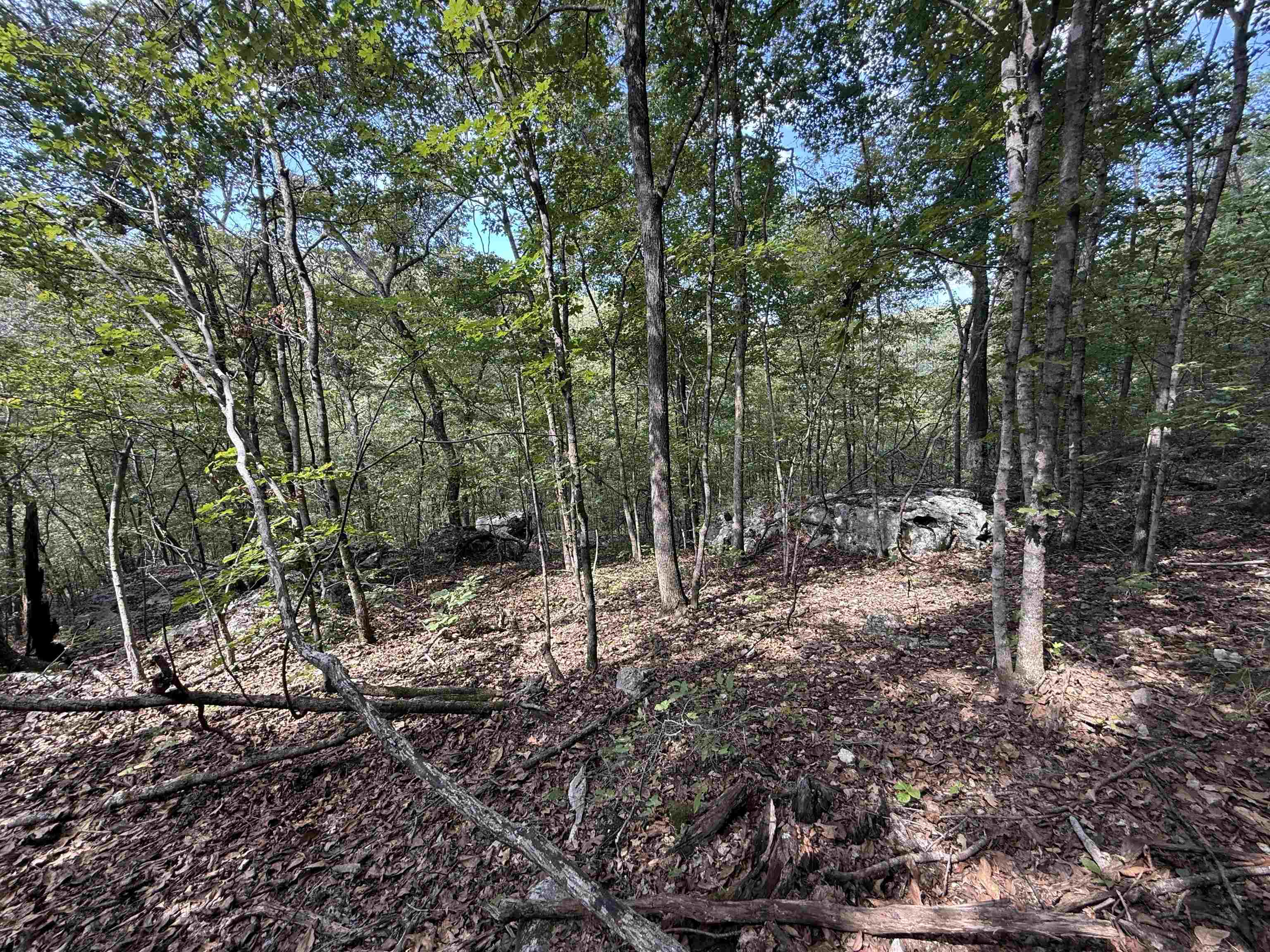 Photo 24 - Vacant Land for sale – 180A  Lafferty Road   Mount Pleasant, AR