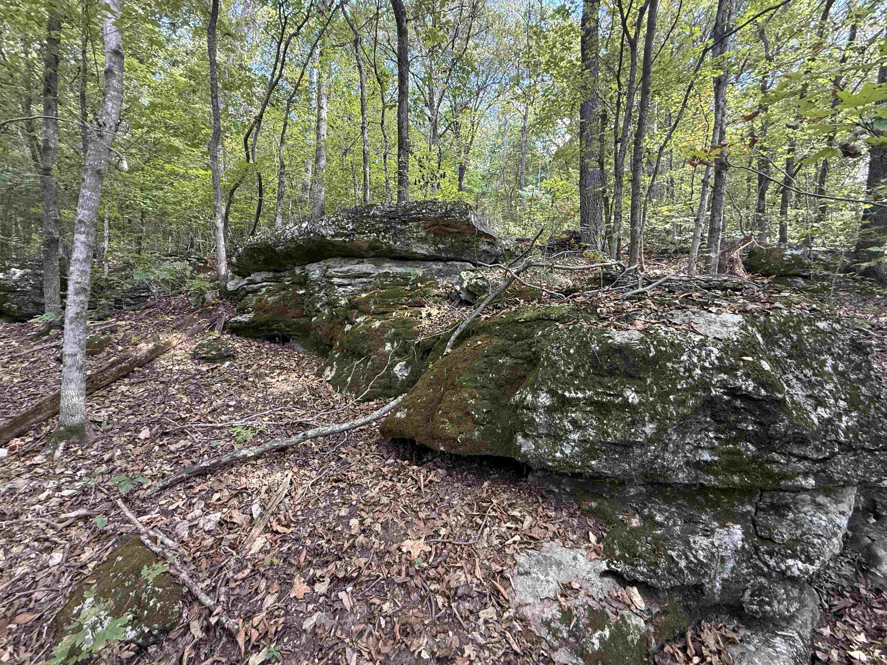 Photo 25 - Vacant Land for sale – 180A  Lafferty Road   Mount Pleasant, AR