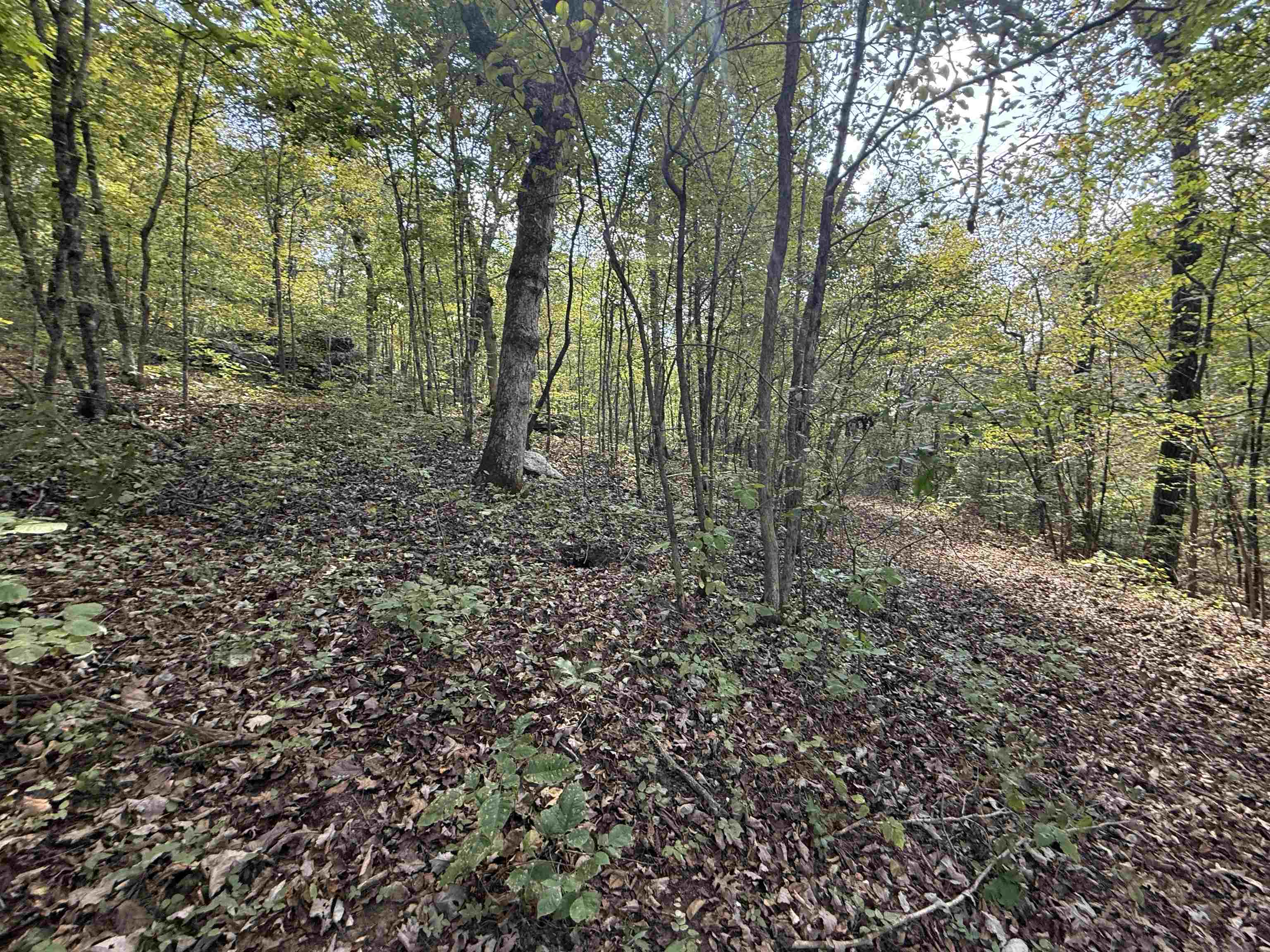 Photo 26 - Vacant Land for sale – 180A  Lafferty Road   Mount Pleasant, AR