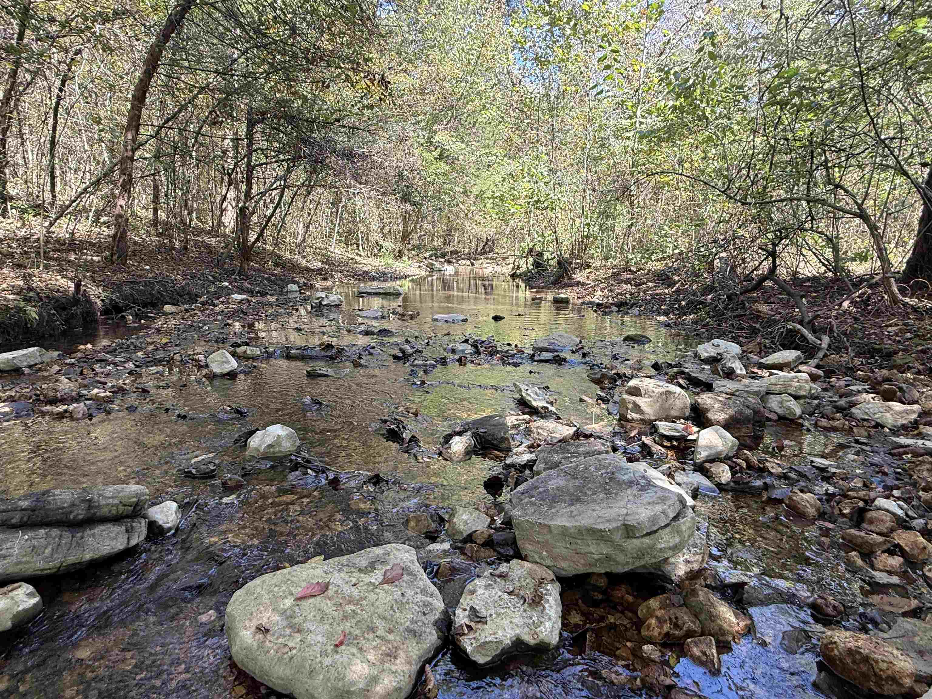 Photo 27 - Vacant Land for sale – 180A  Lafferty Road   Mount Pleasant, AR