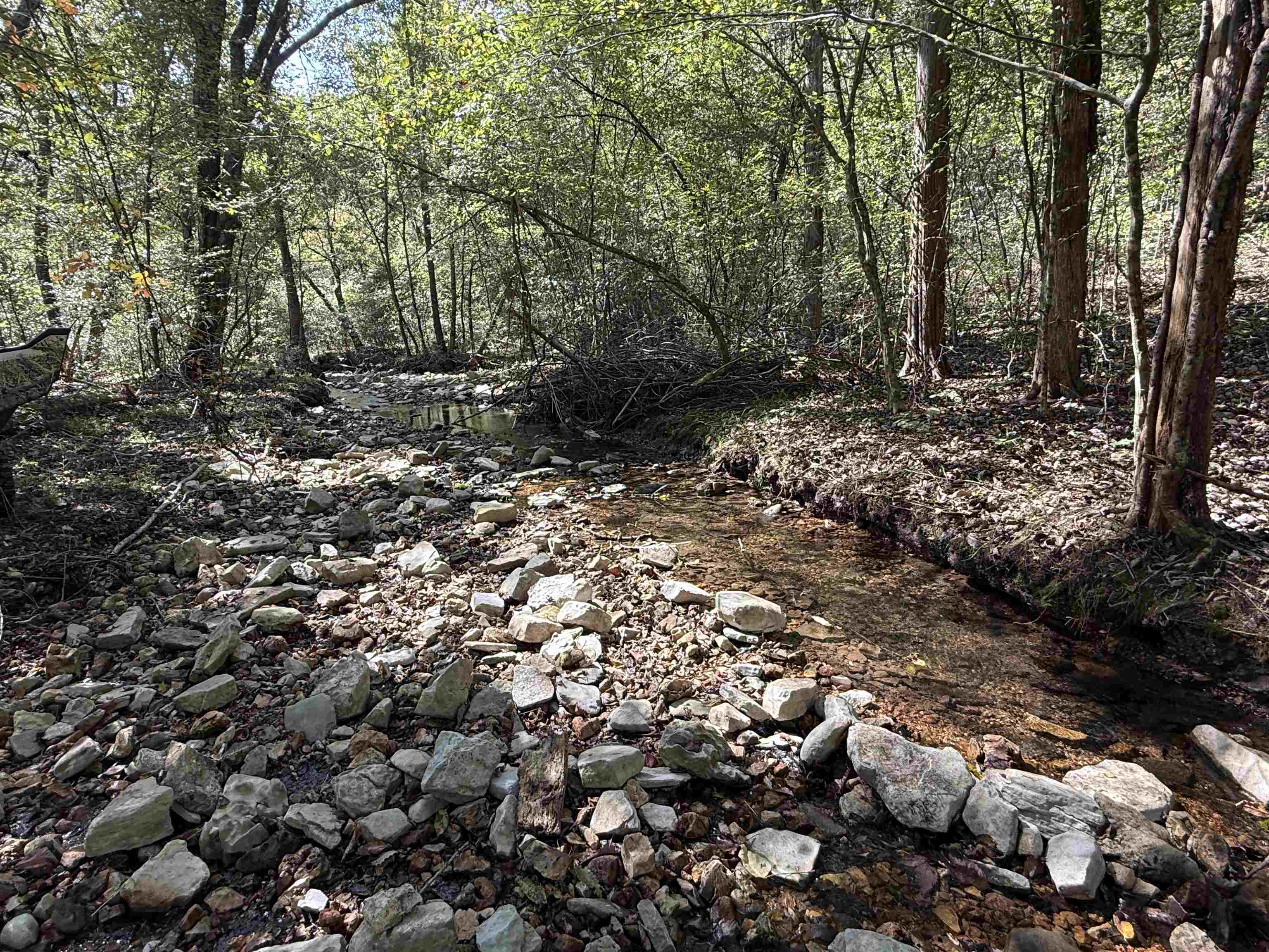 Photo 28 - Vacant Land for sale – 180A  Lafferty Road   Mount Pleasant, AR