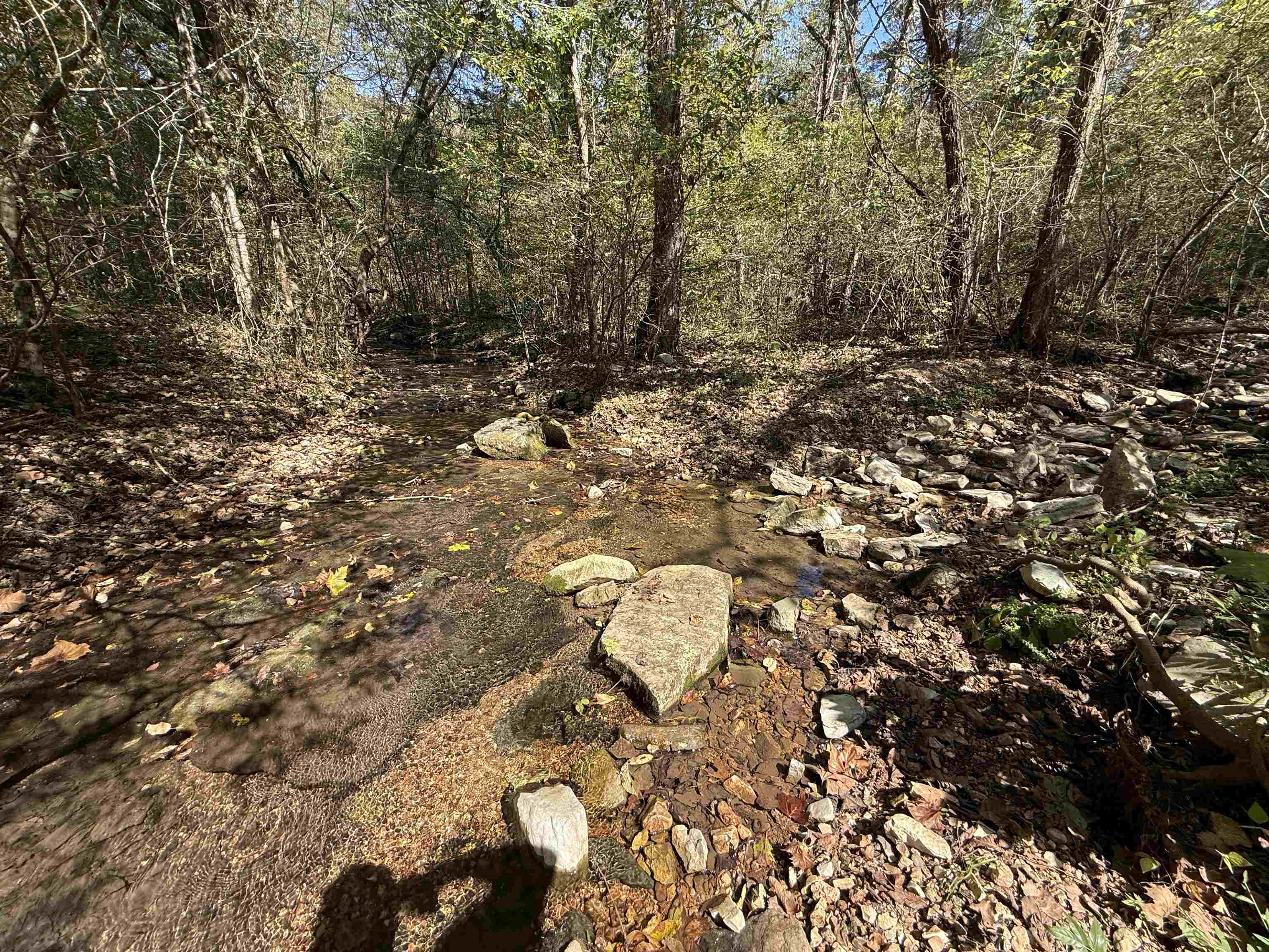 Photo 29 - Vacant Land for sale – 180A  Lafferty Road   Mount Pleasant, AR