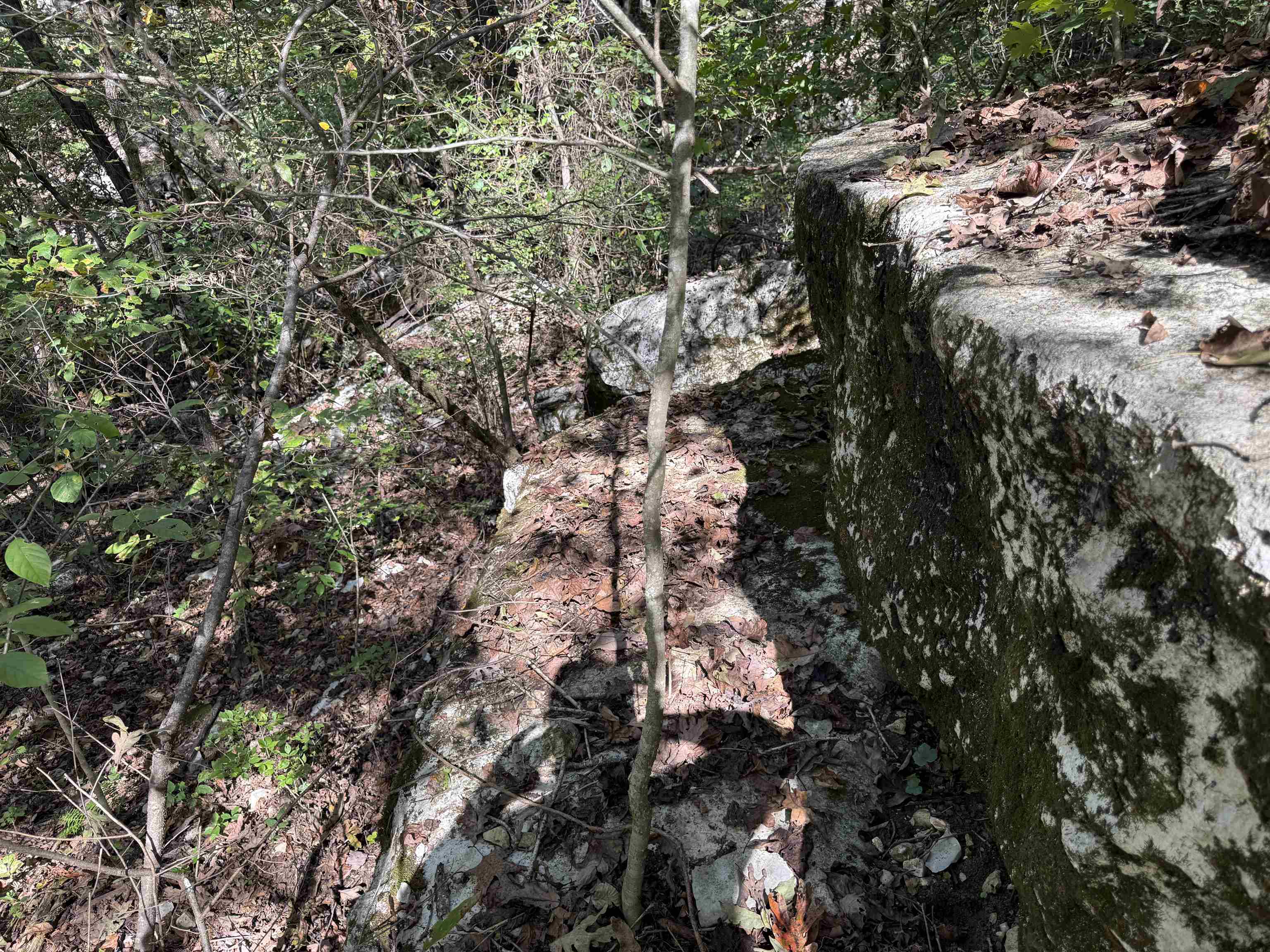 Photo 30 - Vacant Land for sale – 180A  Lafferty Road   Mount Pleasant, AR