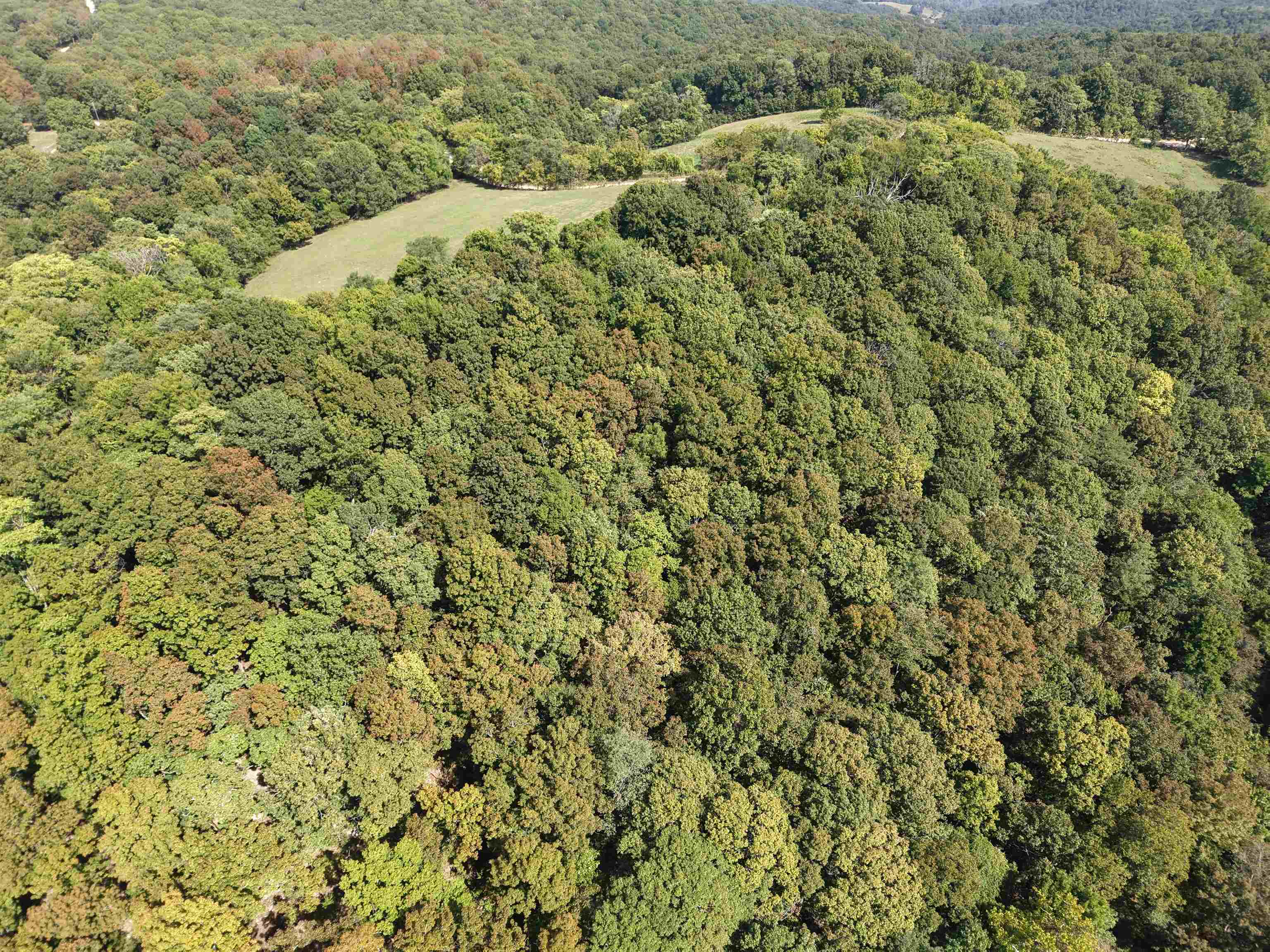 Photo 4 - Vacant Land for sale – 180A  Lafferty Road   Mount Pleasant, AR