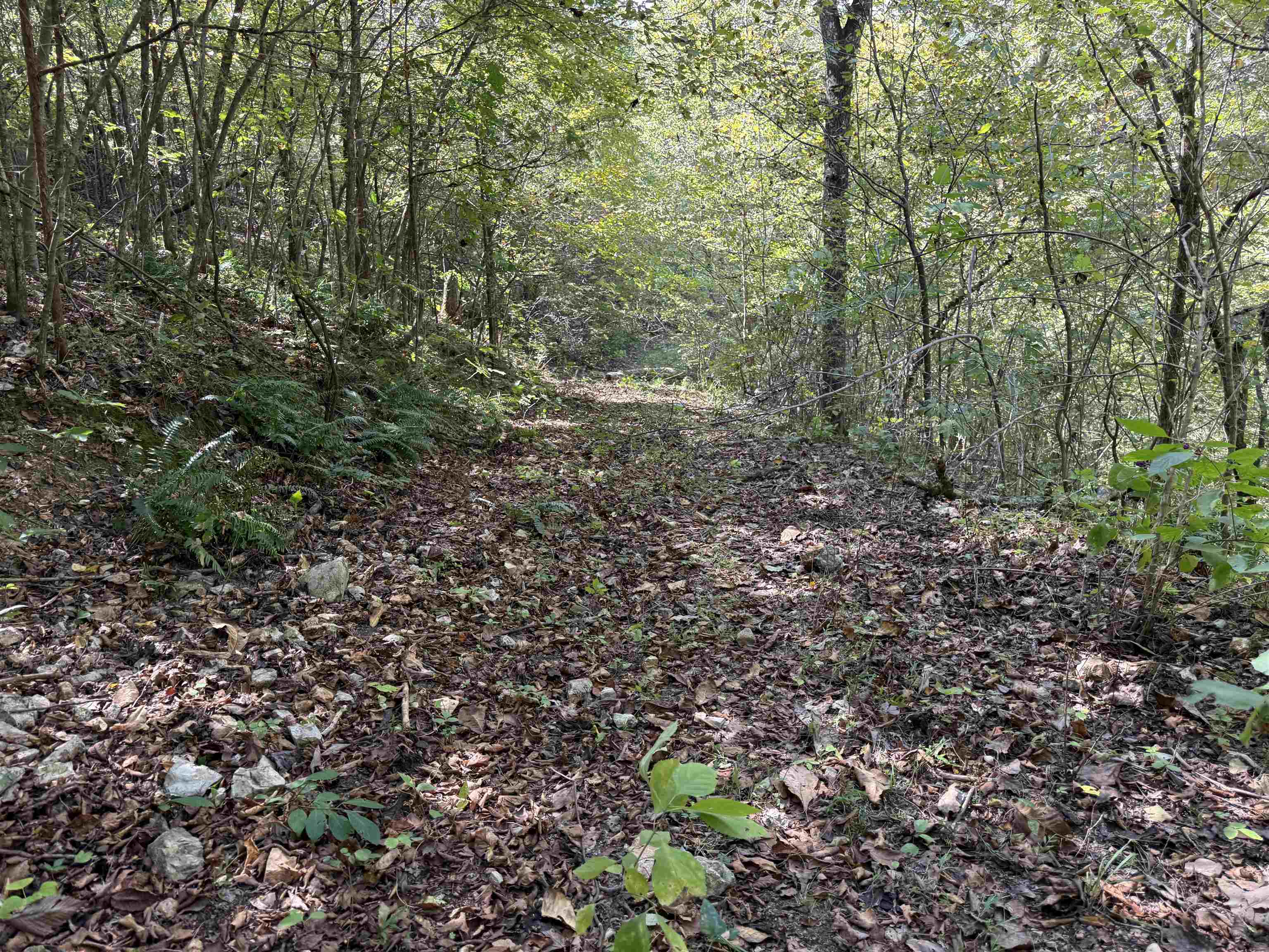 Photo 31 - Vacant Land for sale – 180A  Lafferty Road   Mount Pleasant, AR