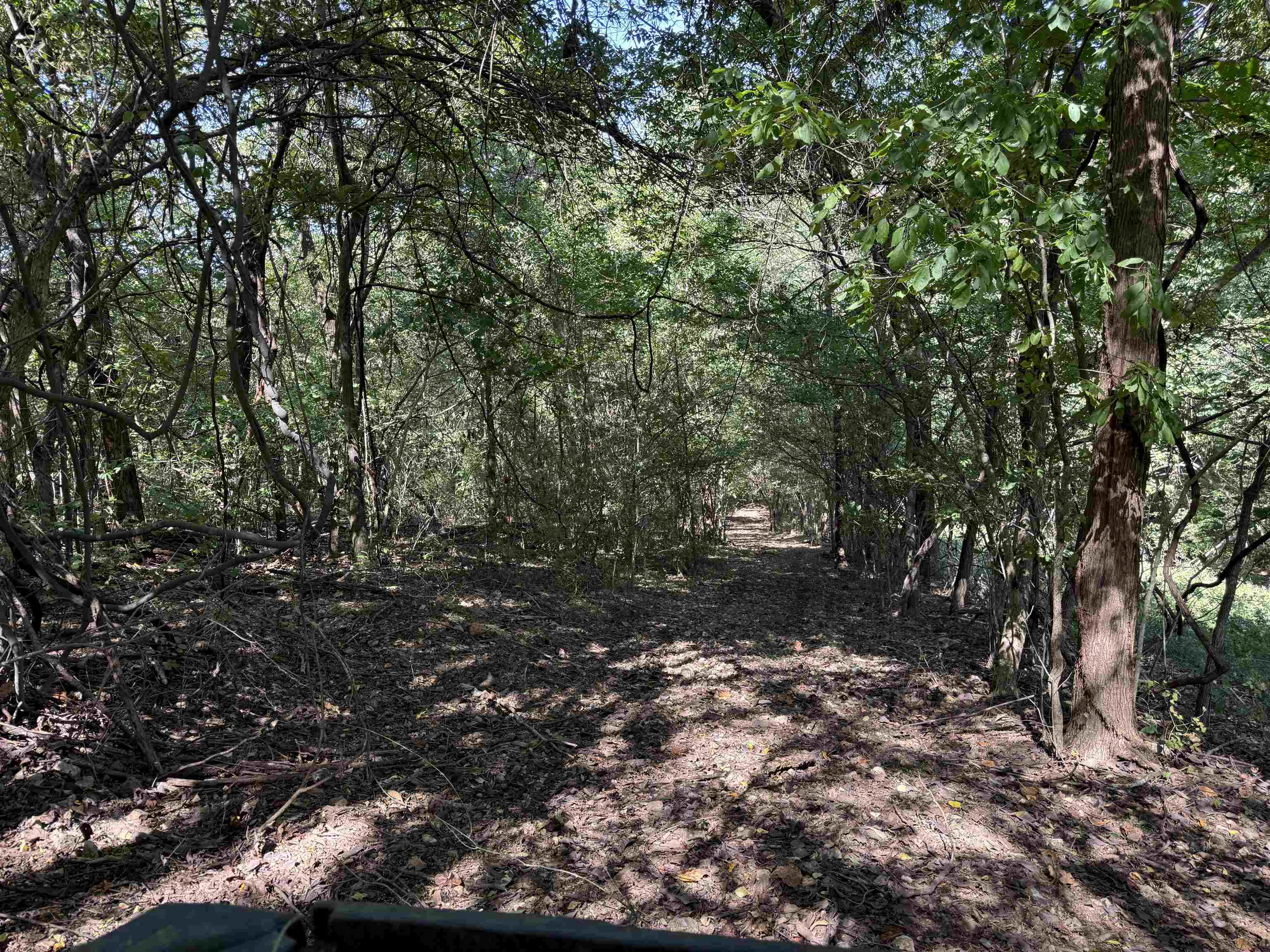 Photo 33 - Vacant Land for sale – 180A  Lafferty Road   Mount Pleasant, AR